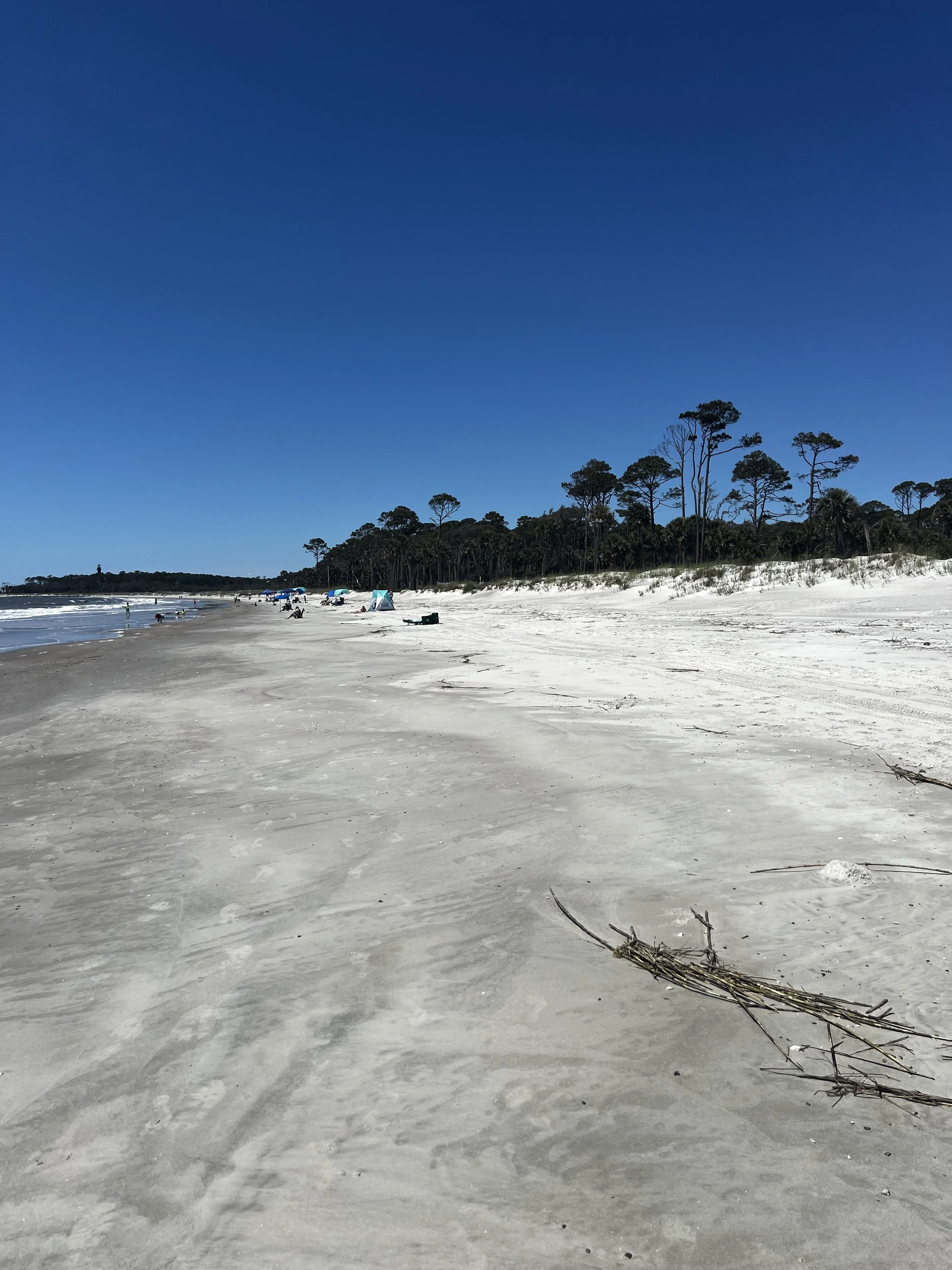 Ted Turner, Hunting Island and the Quiet Wilderness of St. Phillip’s Island