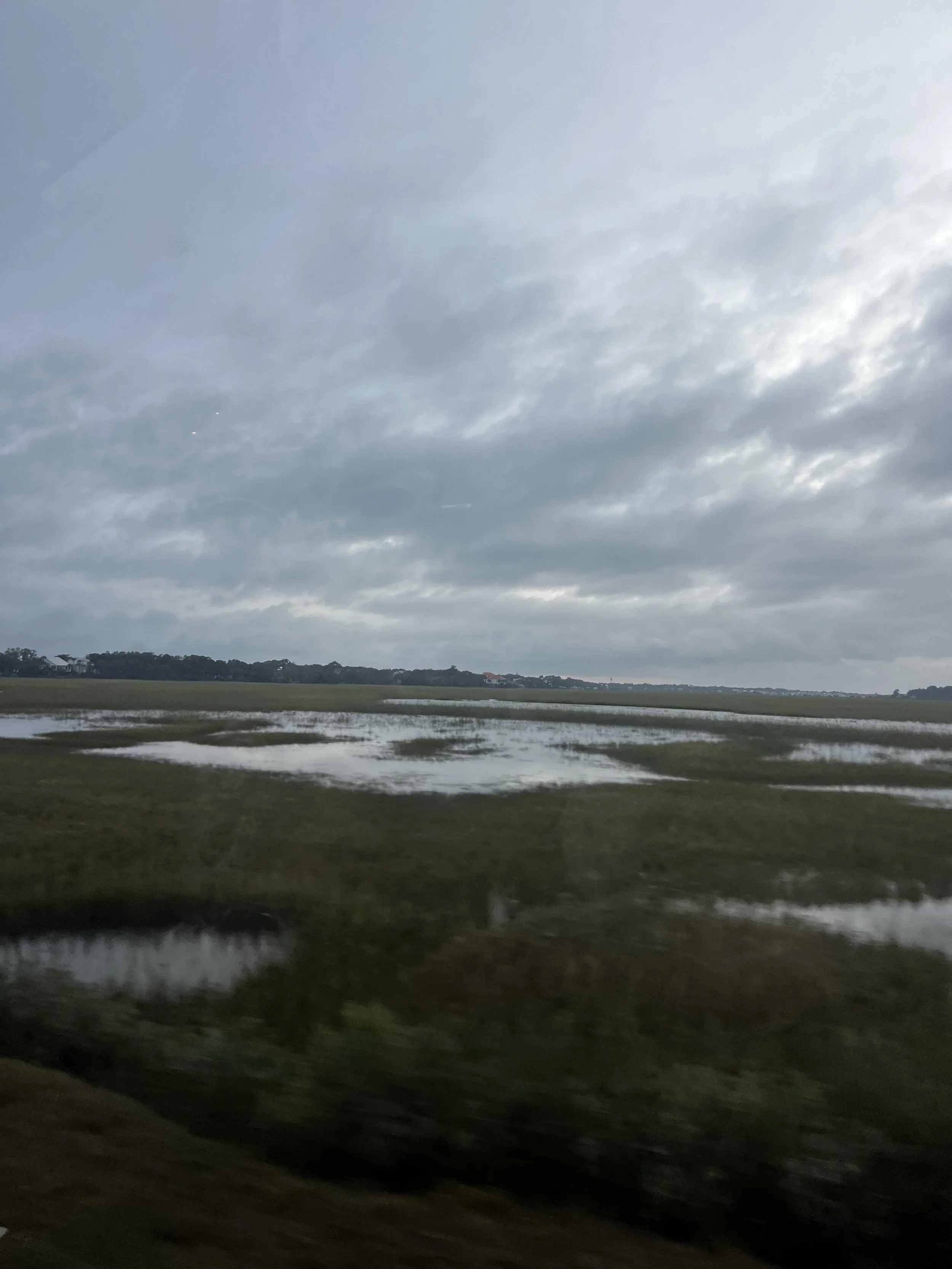 IMG_8436.jpeg
