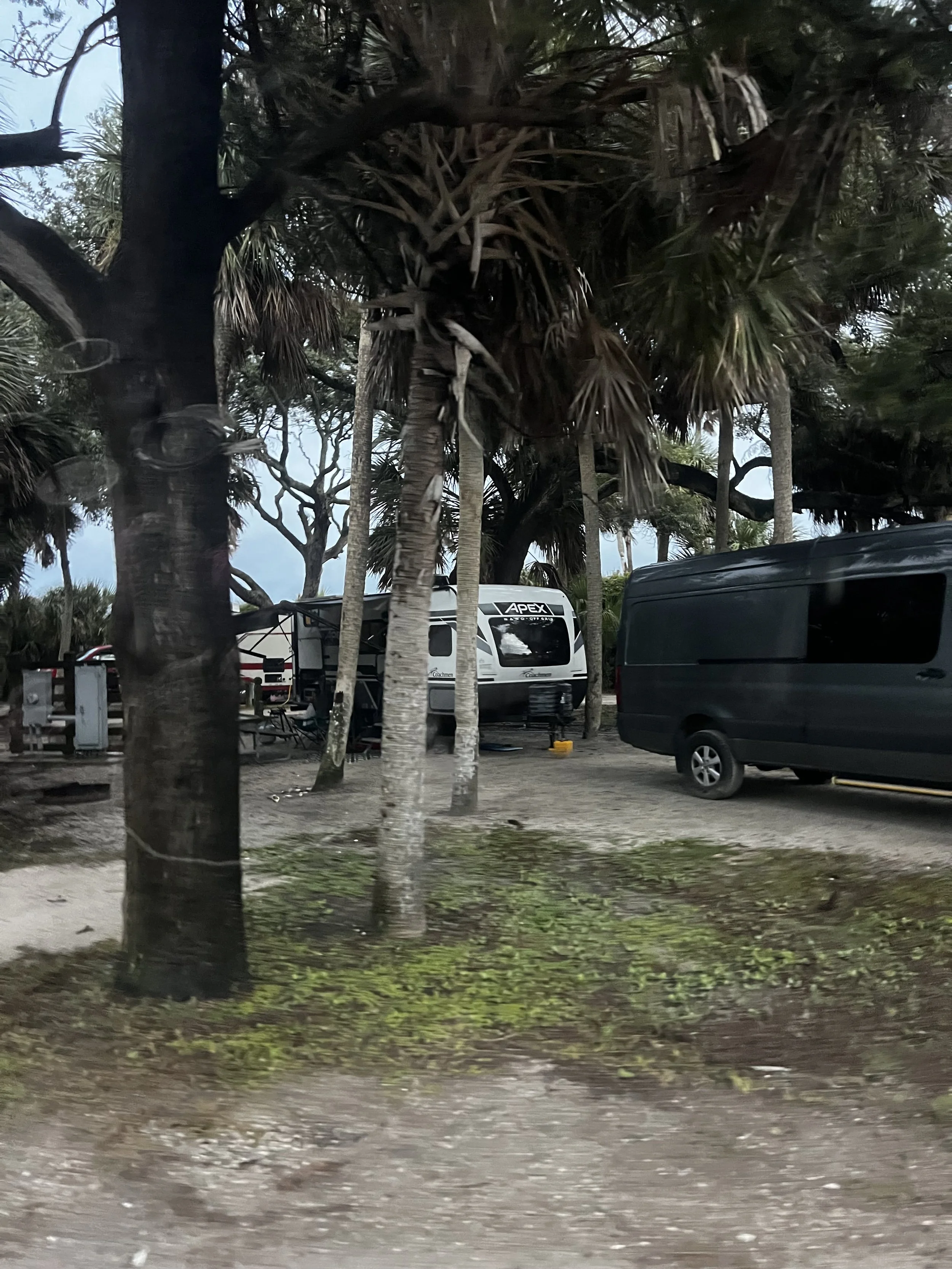 IMG_8439.jpeg