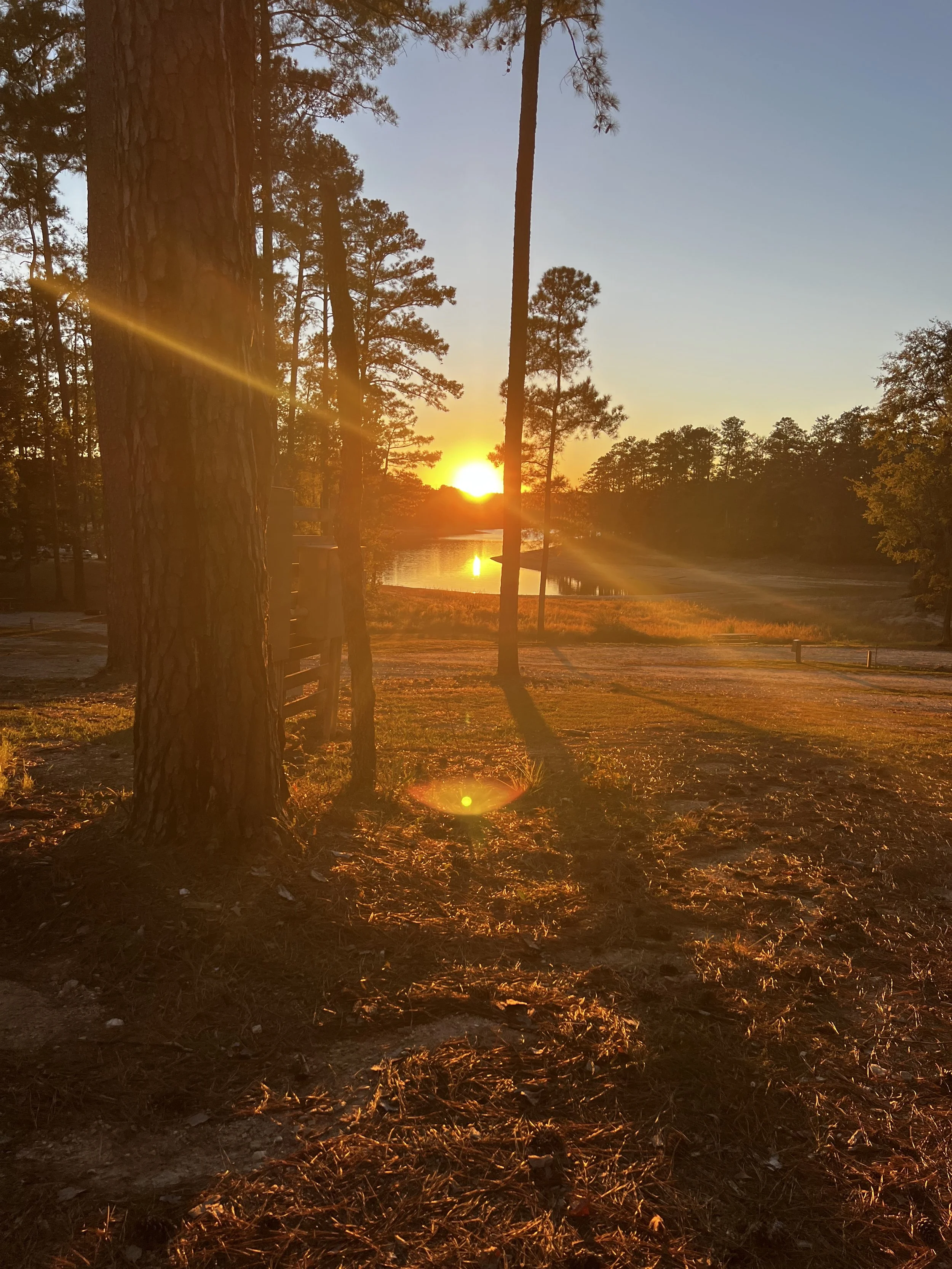 Exploring the Savannah River Lakes: Our Stay at Baker Creek State Park