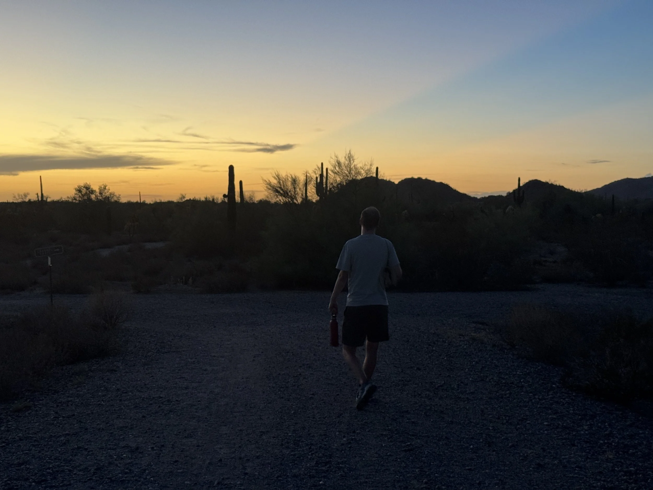 Saguaros and desert vegetation become silhouettes as dusk settles over Crismon Trailhead.