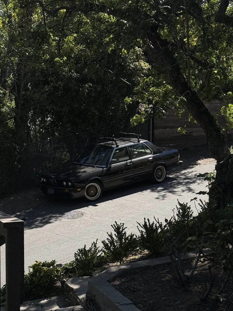 E24780E8-90F8-47EC-AA04-FEE04604E46E_1_105_c.jpeg