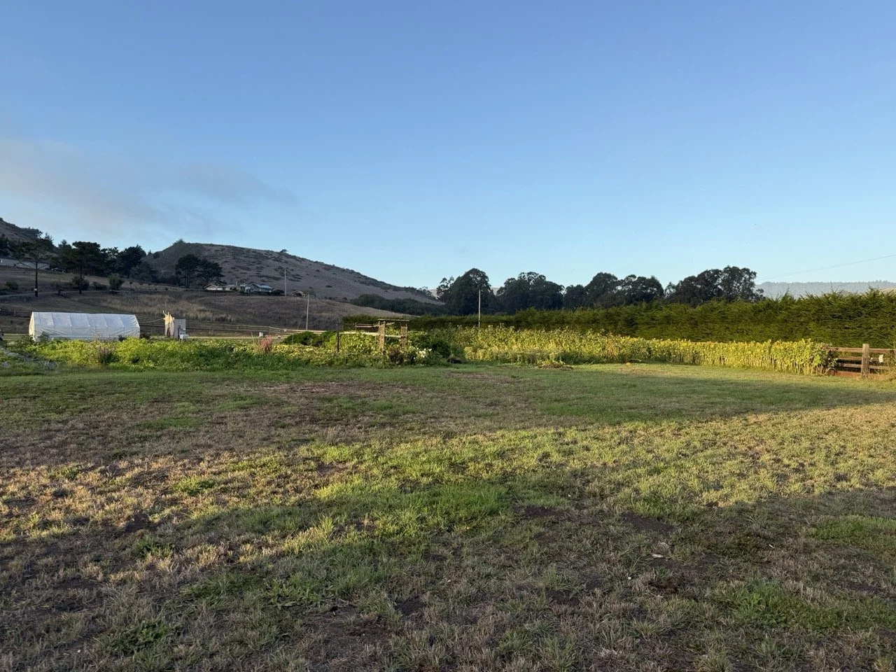 Raw land at Farm
