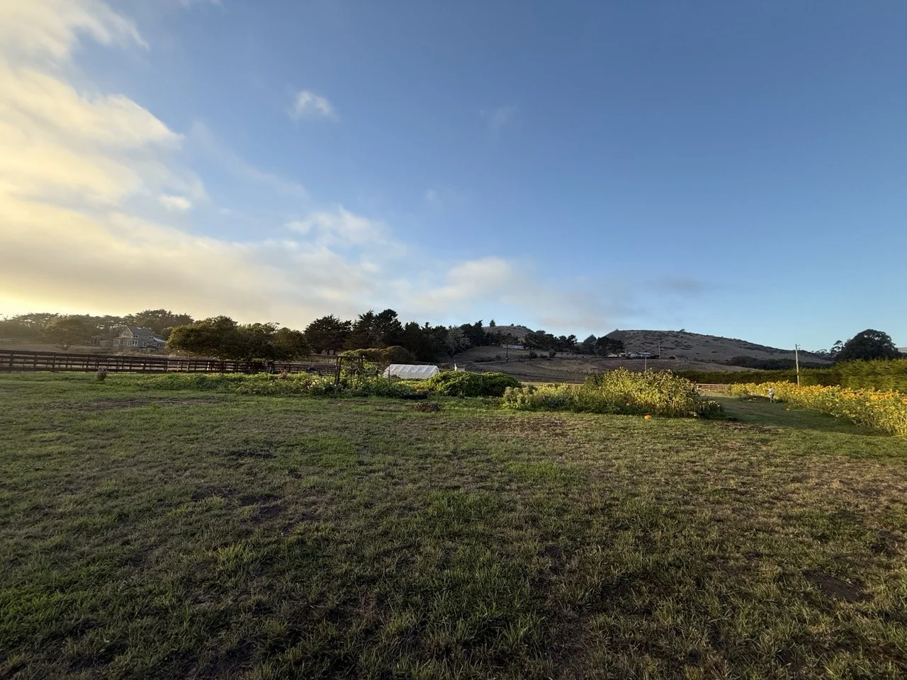 Raw land for events