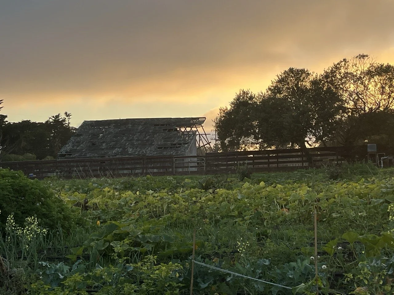 Sunset on Vintage Barn
