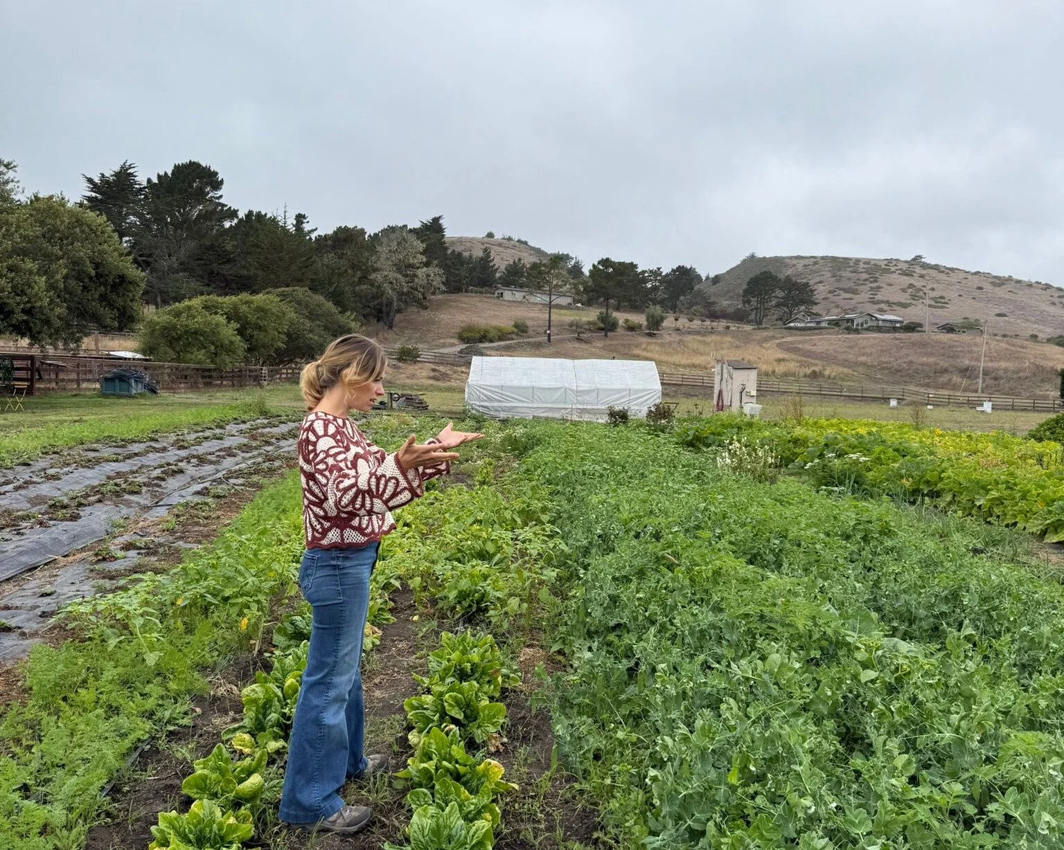 Farm talk at Stardust Gardens
