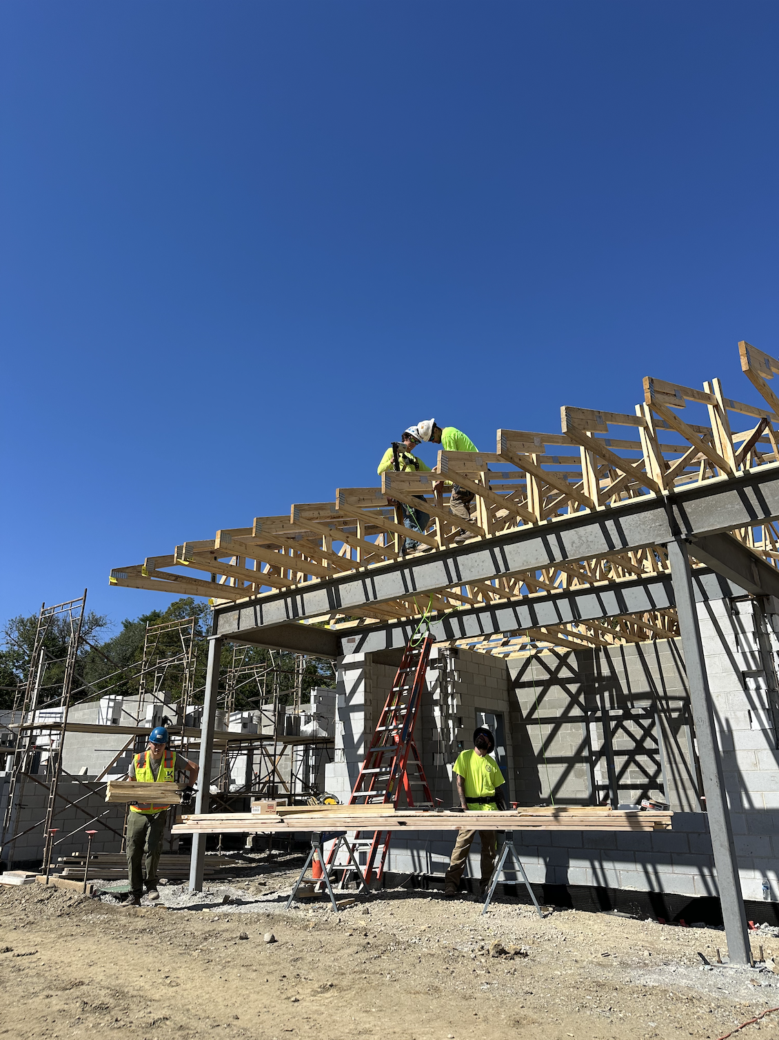 Construction workers building a wooden roof framework on a building under a clear blue sky.
