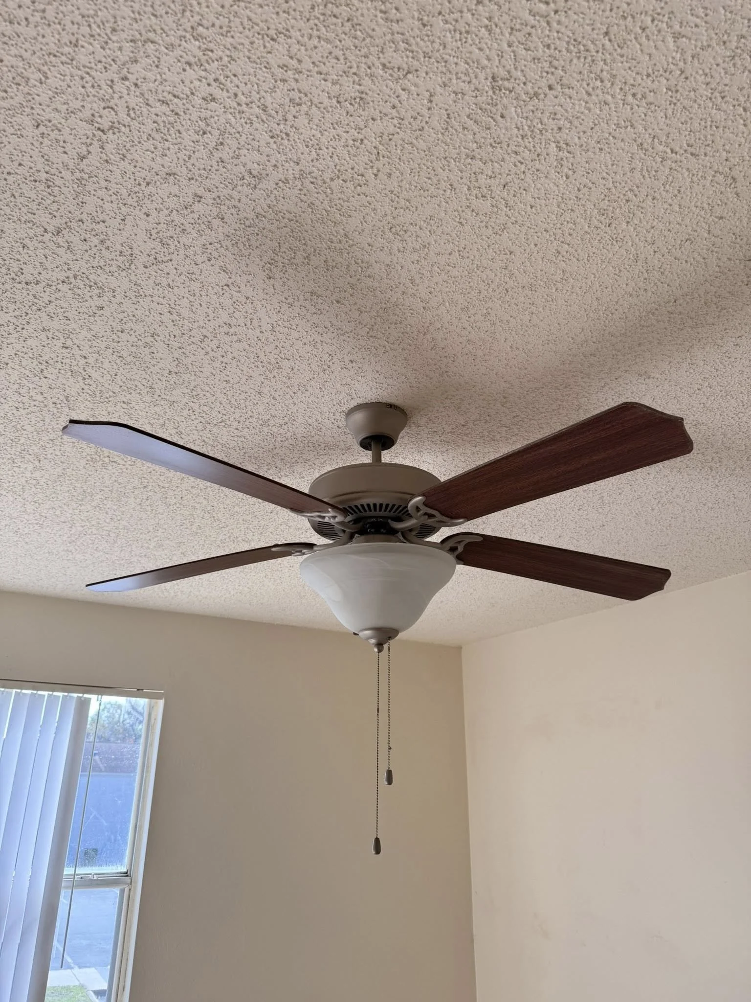 clean fan.jpg