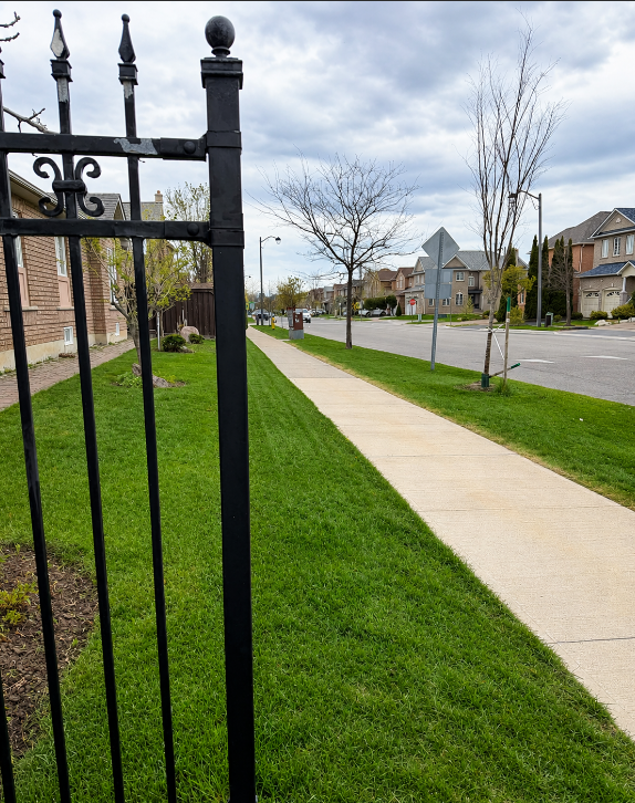 A residential neighborhood sidewalk scene viewed from behind a black wrought iron gate, with a grassy lawn, leafless trees, and houses in the background under a cloudy sky.