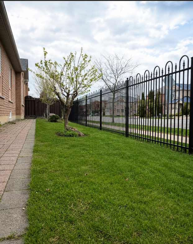 A suburban front yard with green grass, a small tree, a brick sidewalk, a black metal fence, and houses in the background under a partly cloudy sky.