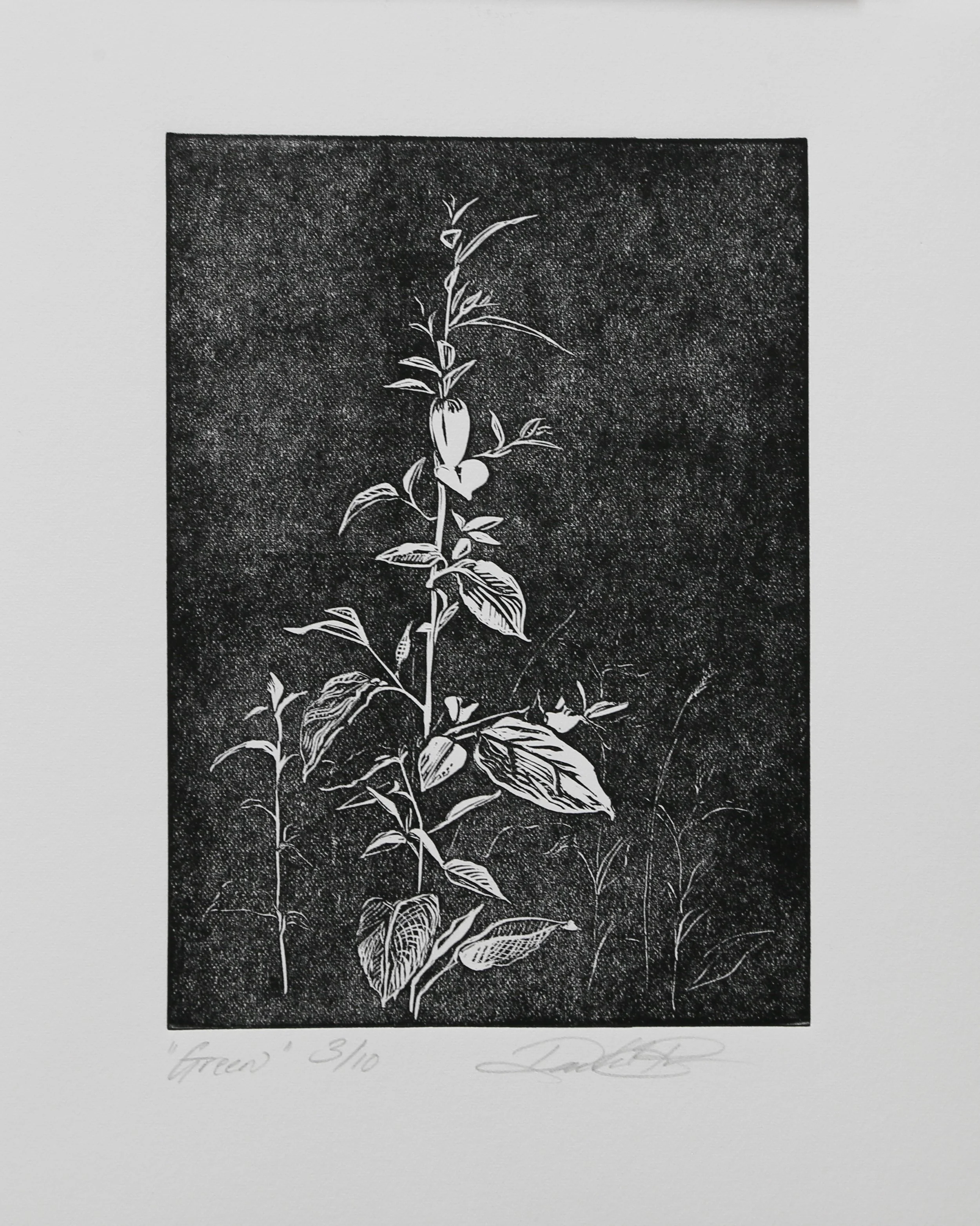"Green", Rachel Brown, 2025, Relief Print, 8"x10"