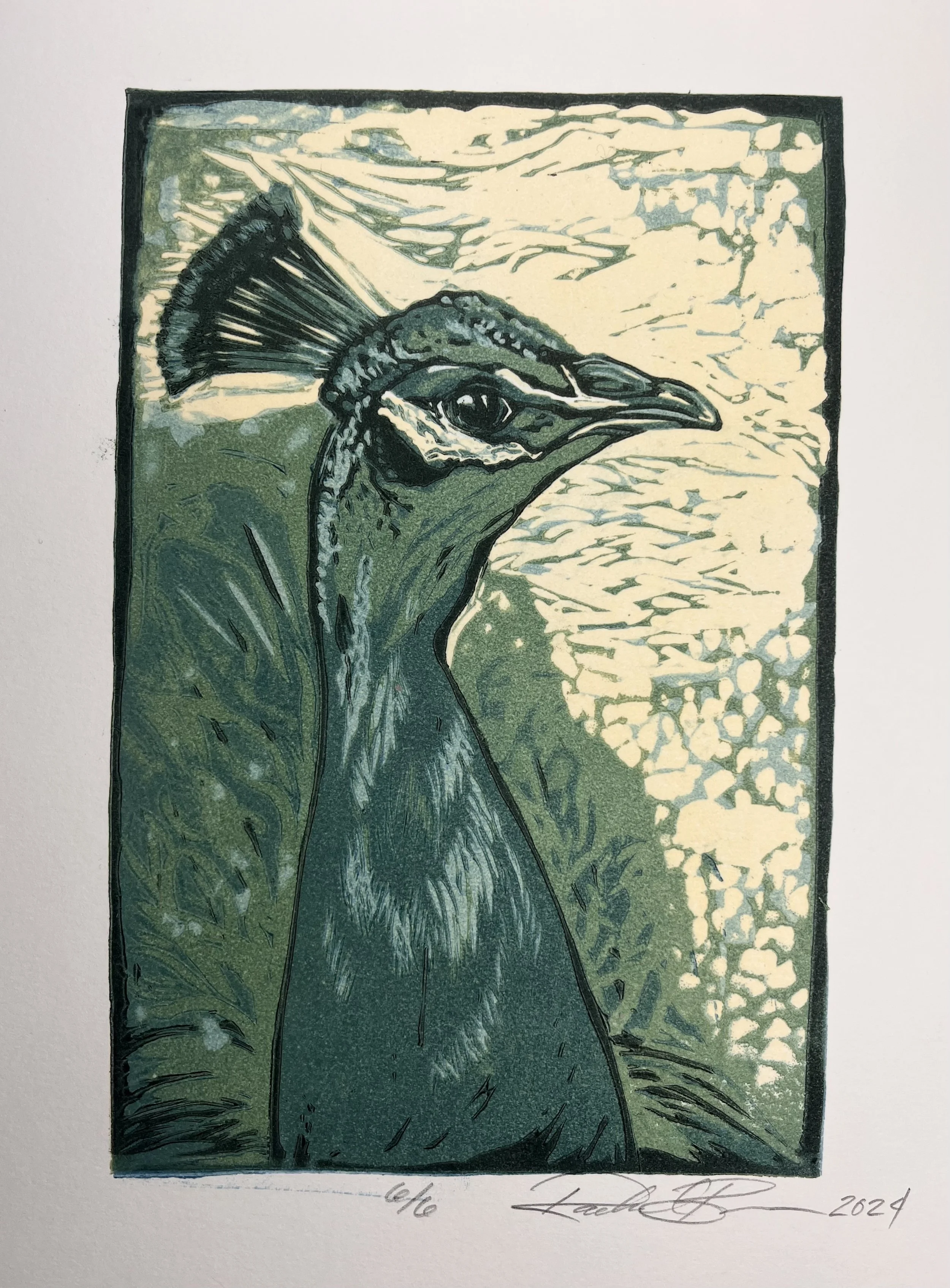 "Peacock", Rachel Brown, 2024, Reduction Print, 6"x9"