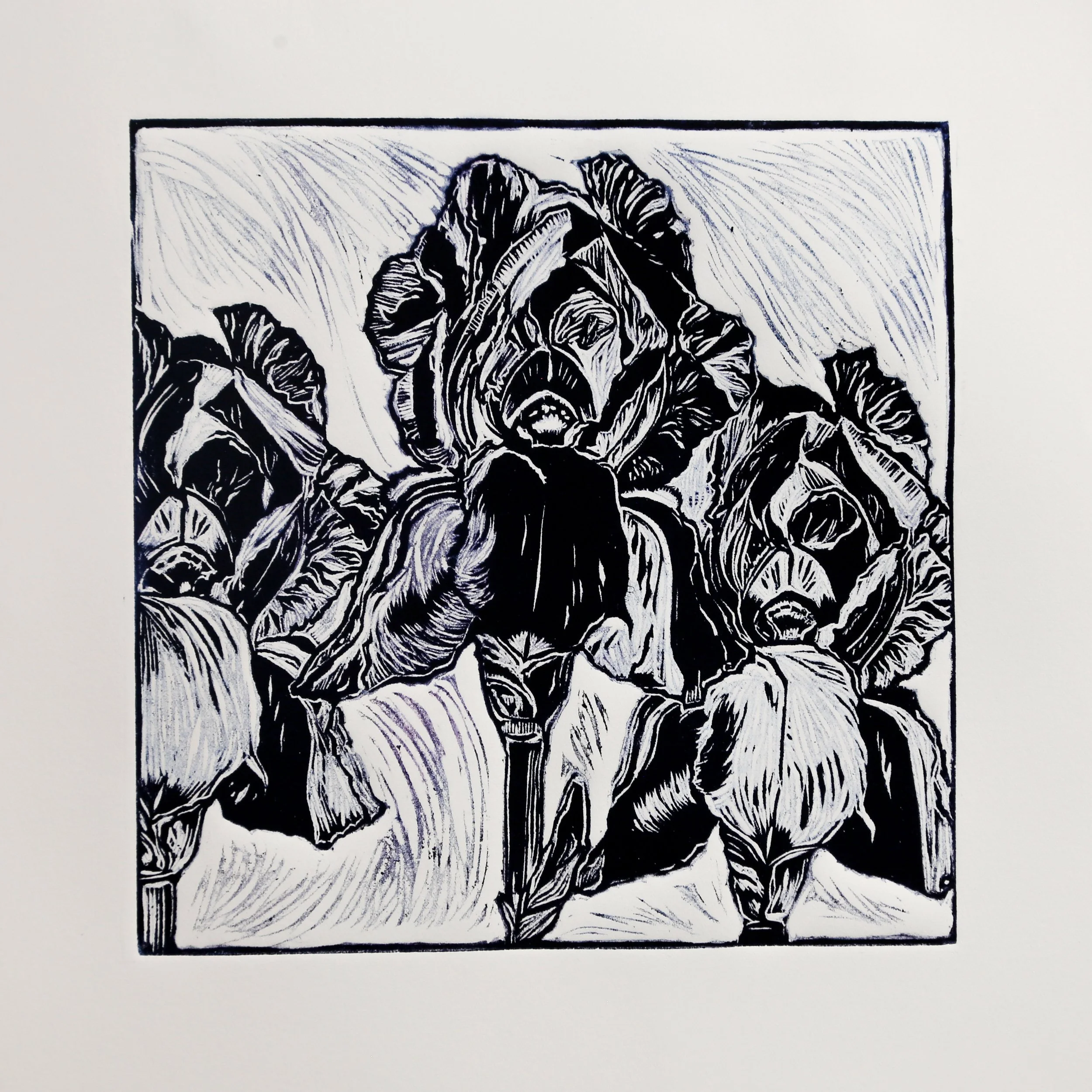 "Three Irises", Rachel Brown, 2023, Relief Print, 12"x12"