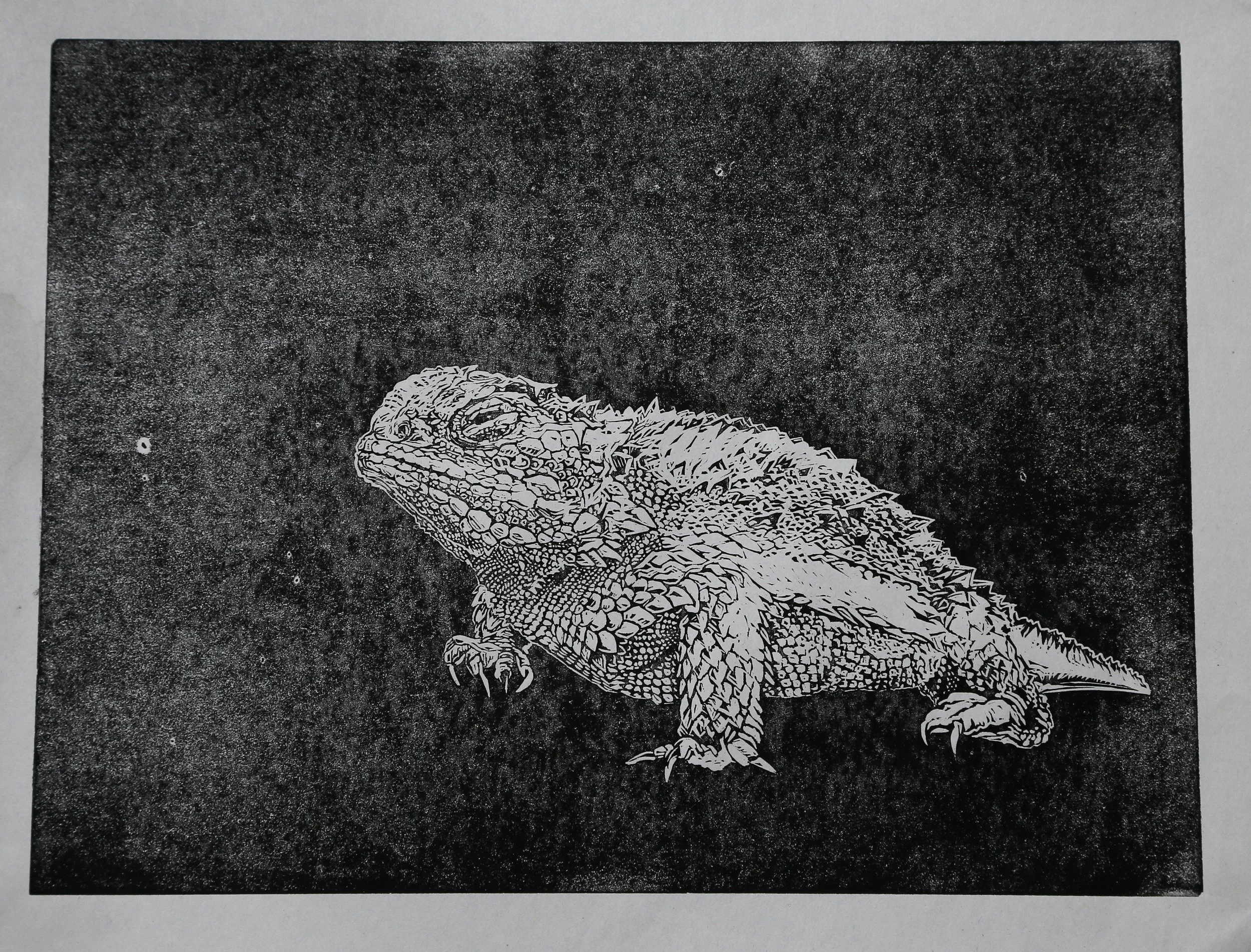"Horny Toad", Rachel Brown, 2025, Relief
Print, 9"x12"