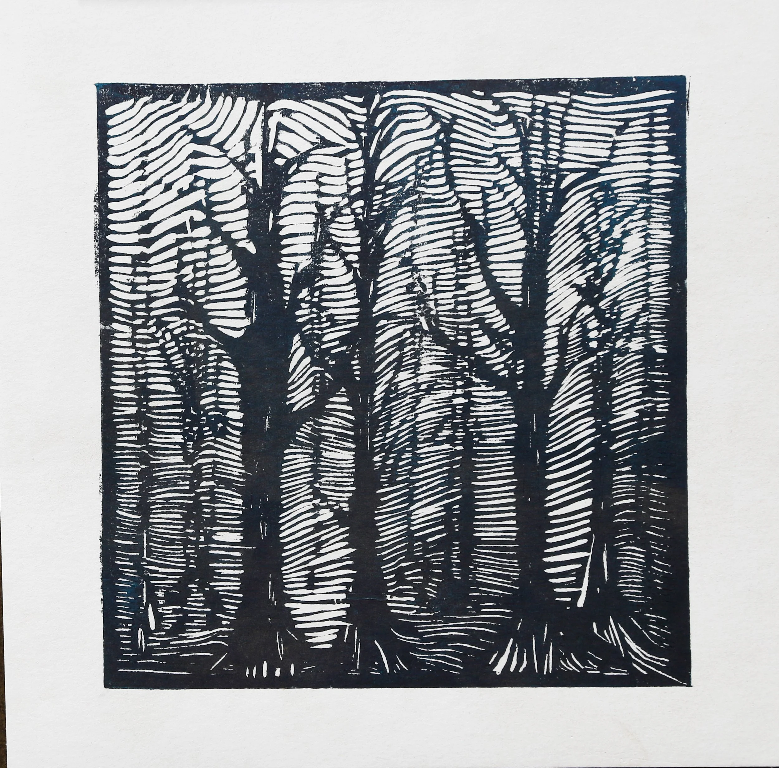"Parallel Forest", Rachel Brown, 2018, Relief Print, 8"x8"