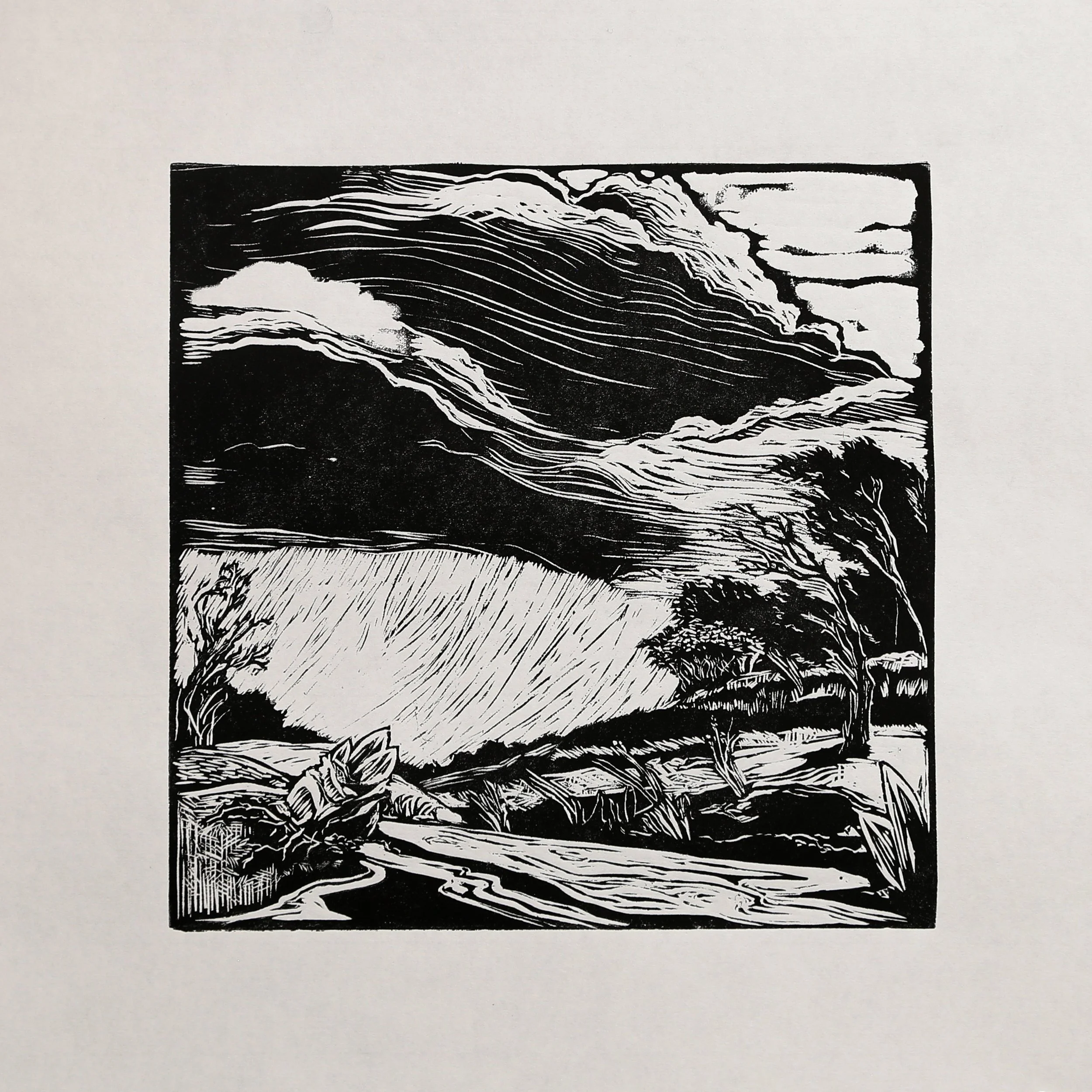 "Iris Bulb", Rachel Brown, 2023, Relief Print, 12"x12"