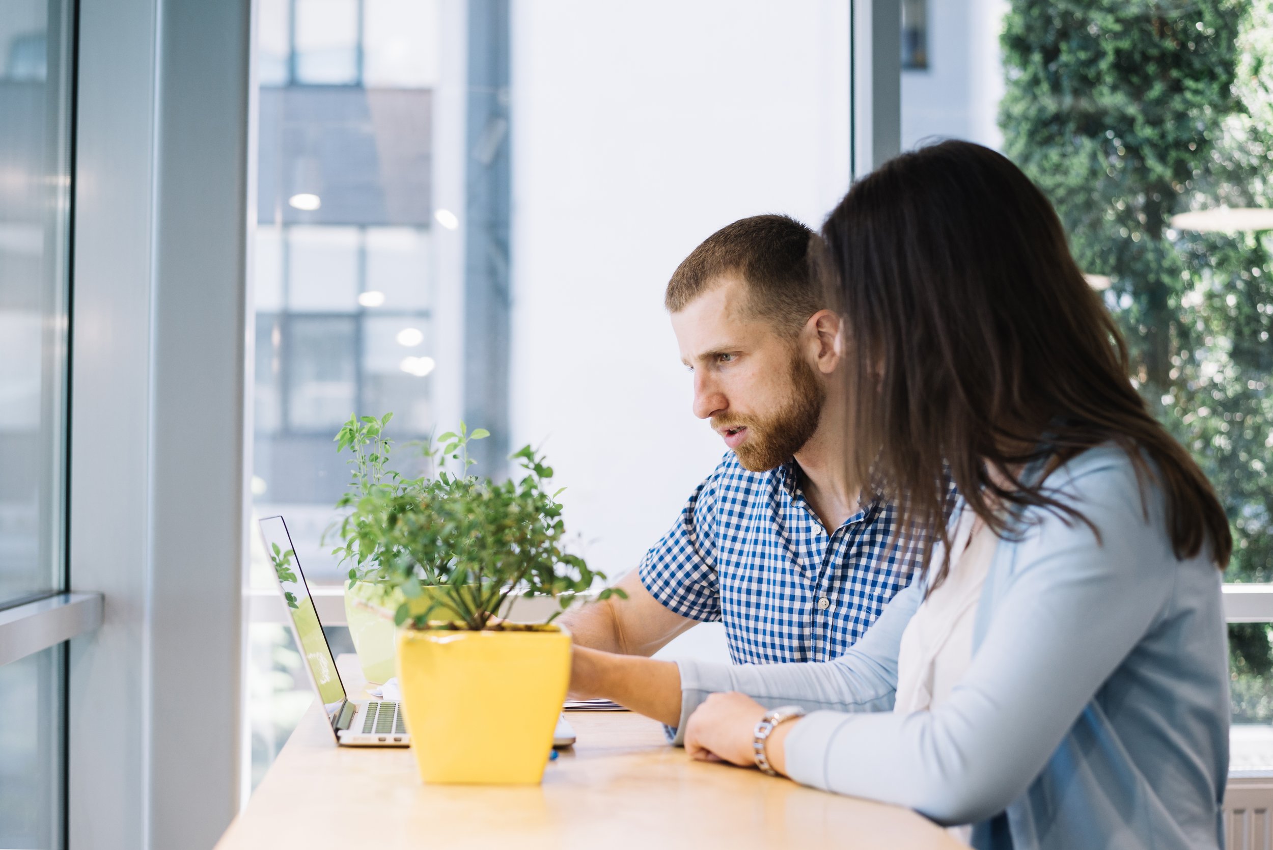 A man and woman sitting at a wooden table looking at a laptop screen. There is a potted plant with green leaves in a yellow pot on the table. They are in a bright room with large windows and trees outside.
