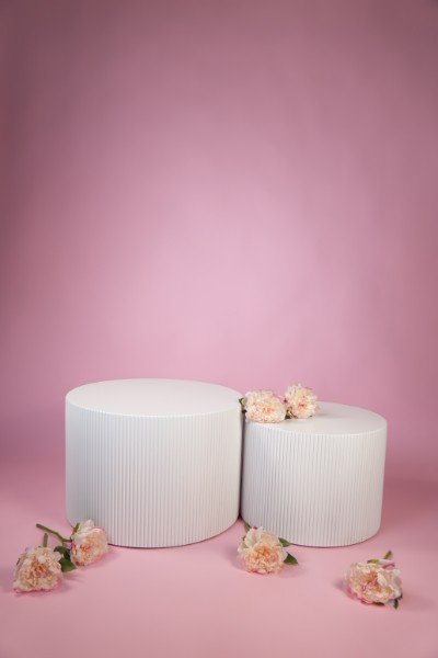 SEN Studio