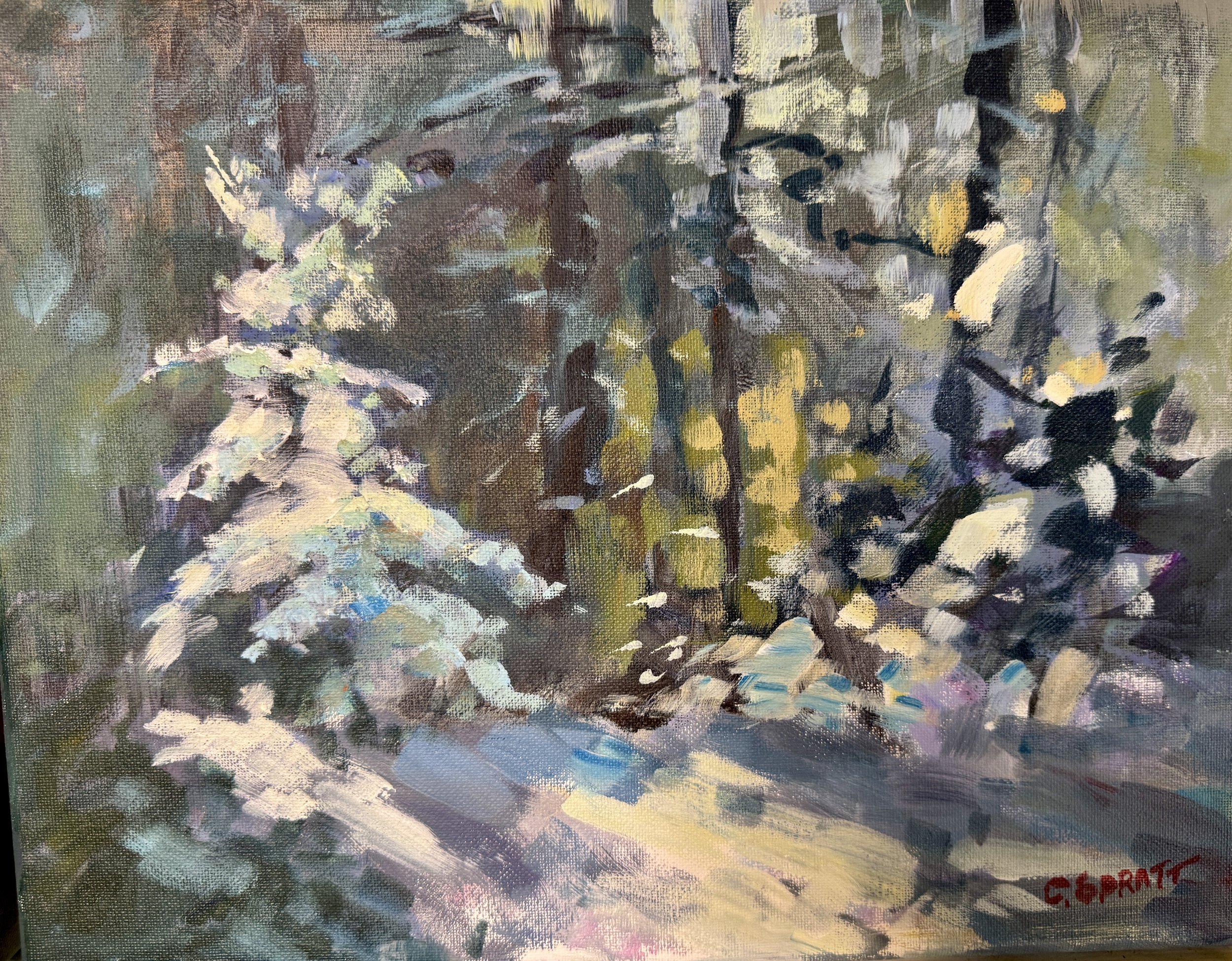 #2251123         Stittsville 
Field Study | 11" x 14"  | $600.