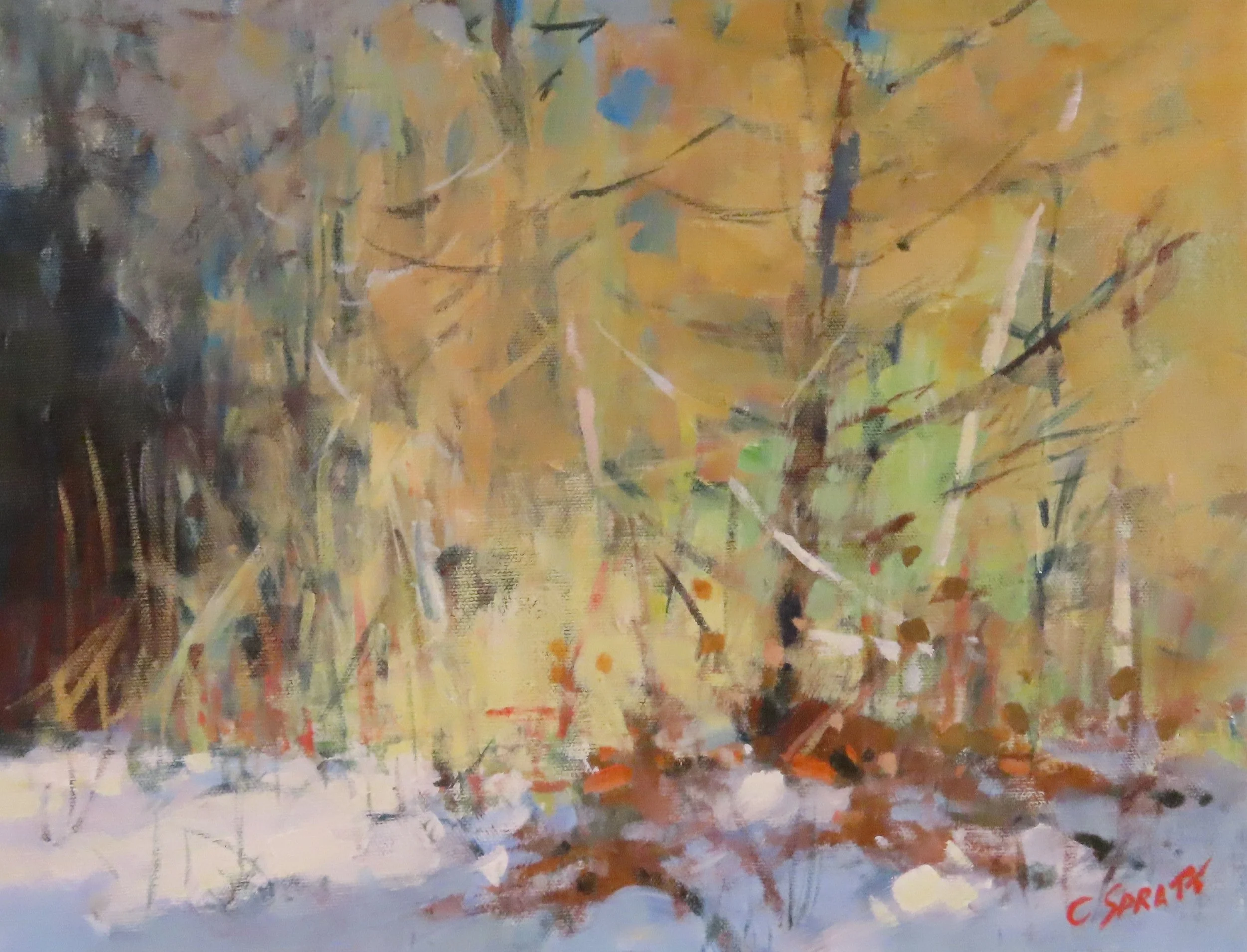 #2251097 Evening Sun 11x14 Carleton Place Gallery