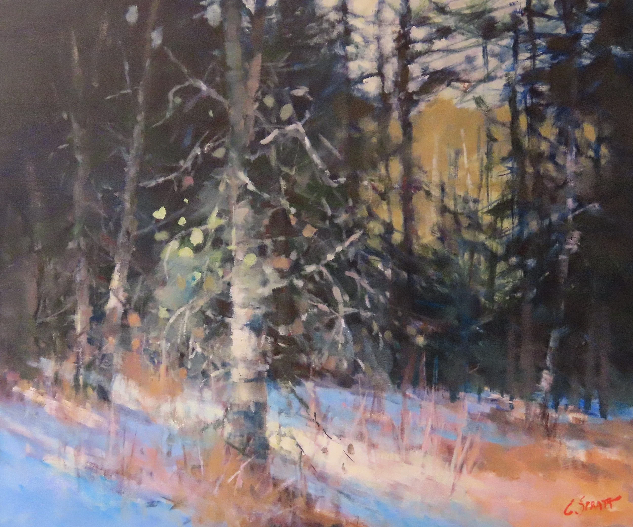 Algonquin Park Revisited