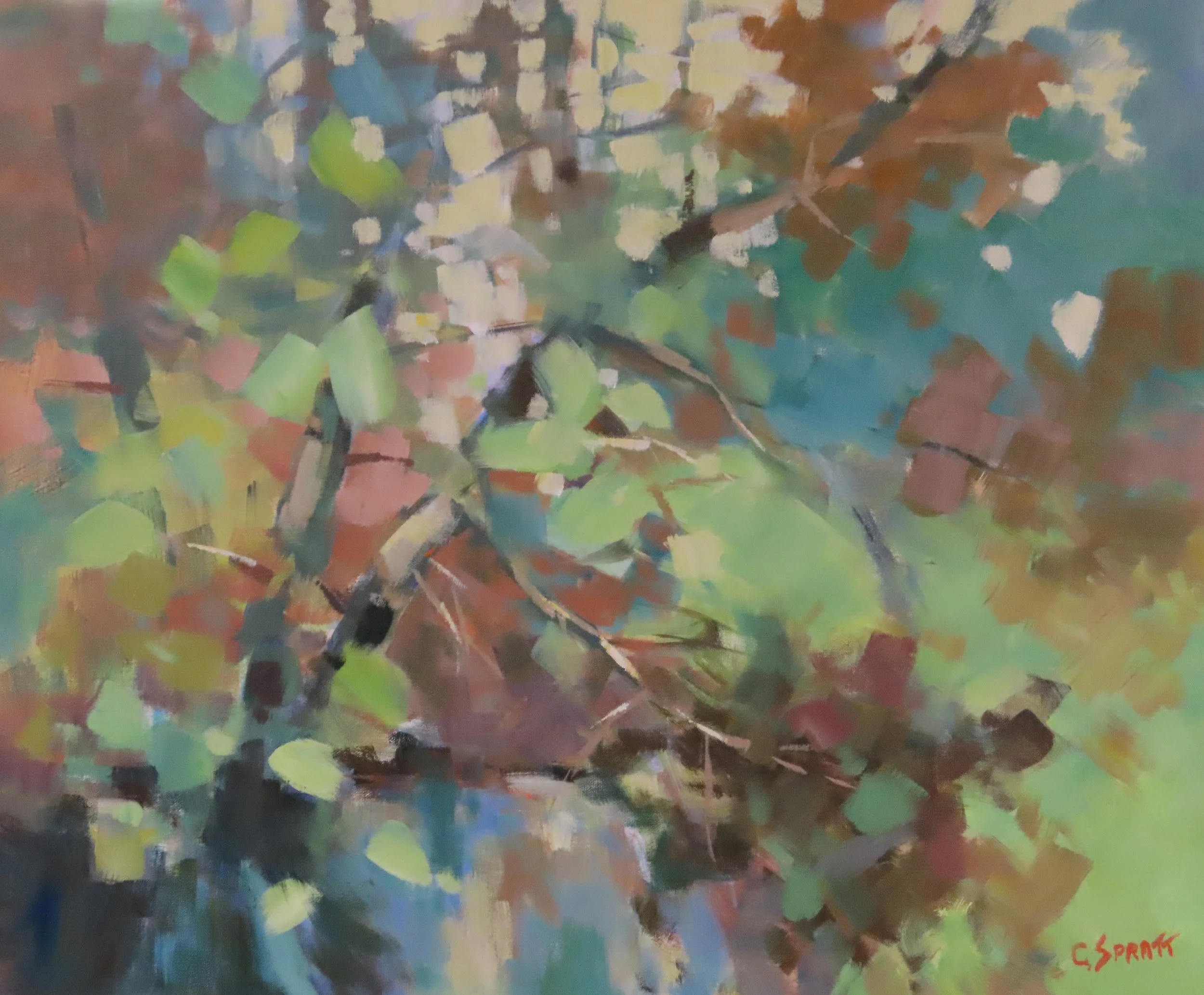 #2251105 Poole Creek Symphony to Spring 20x24x1.5   $2000.