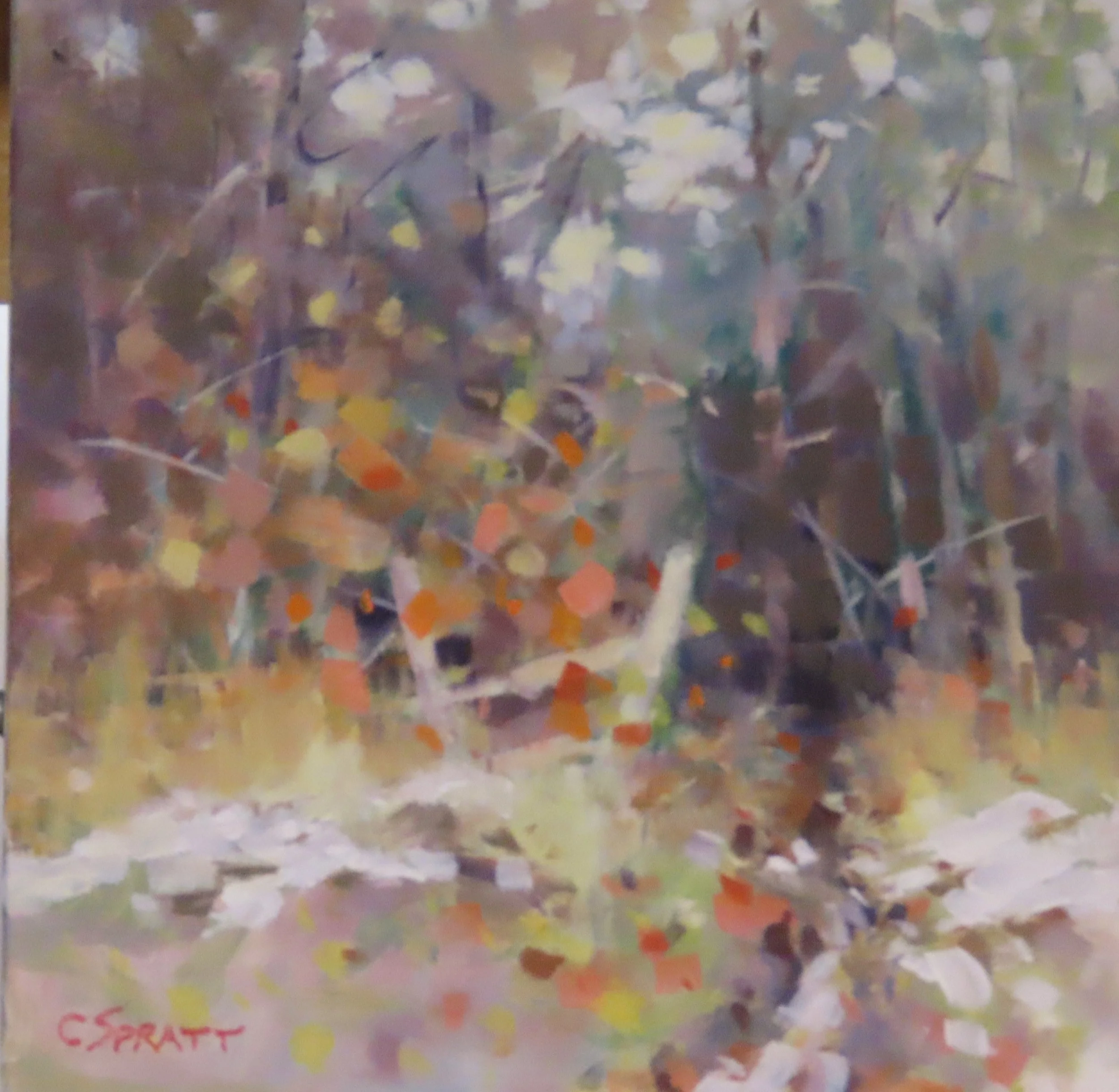 #2251119 First Snow 12x12x1.5 Carleton Place Gallery