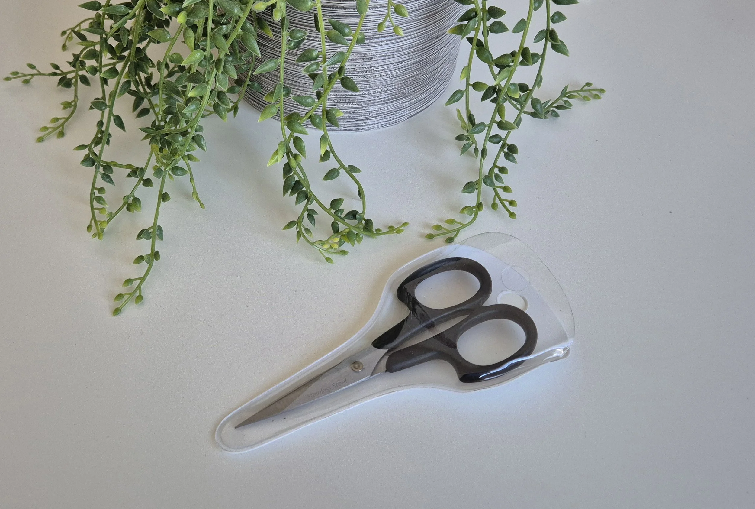 20260119_162647 (1).jpg