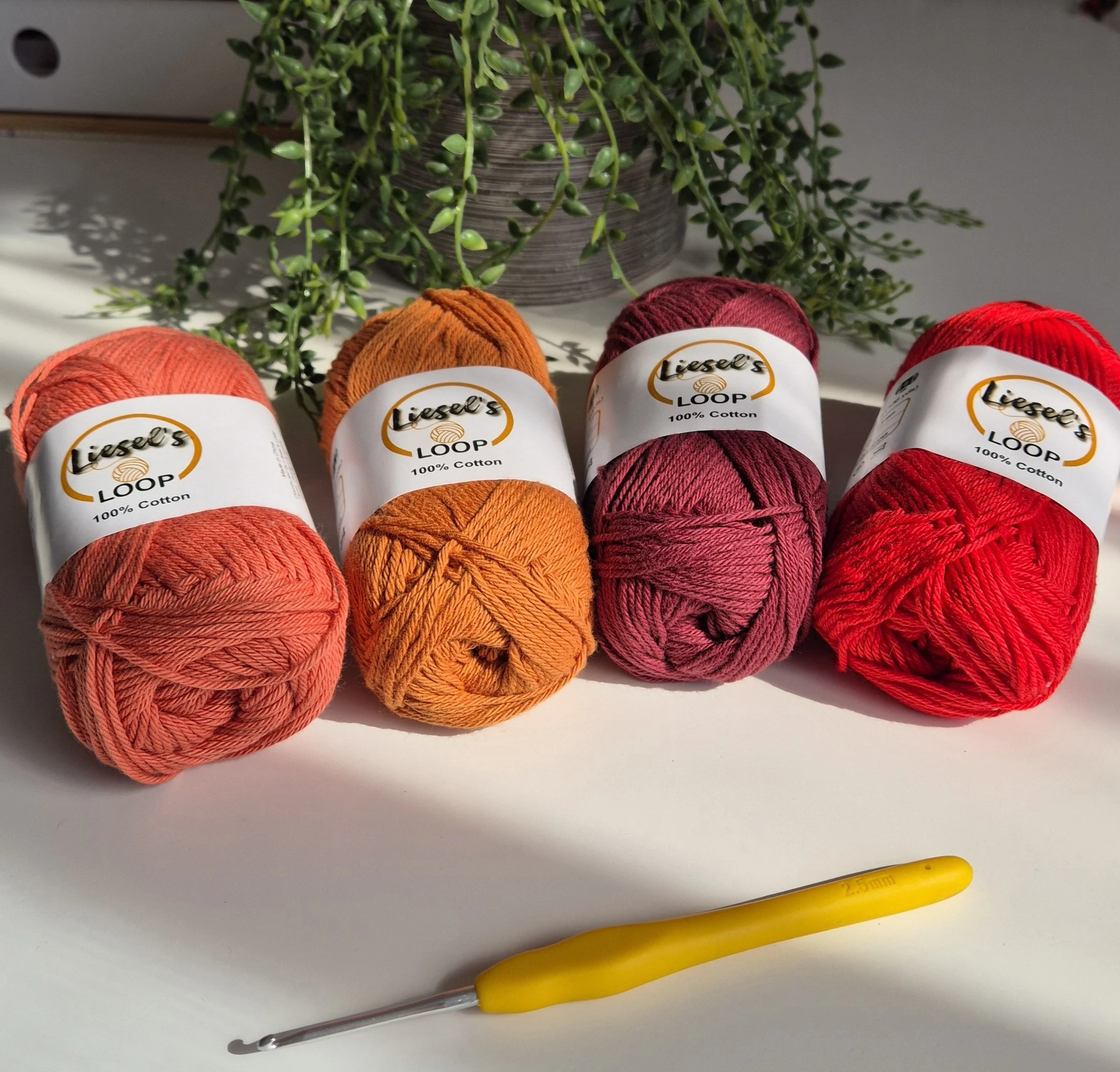 Four balls of colorful Liesel's Loop yarn in shades of Pumpkin, Caramel, Bordeaux, and Tomato, on a white surface with a yellow crochet hook in front and a potted green plant in the background.
