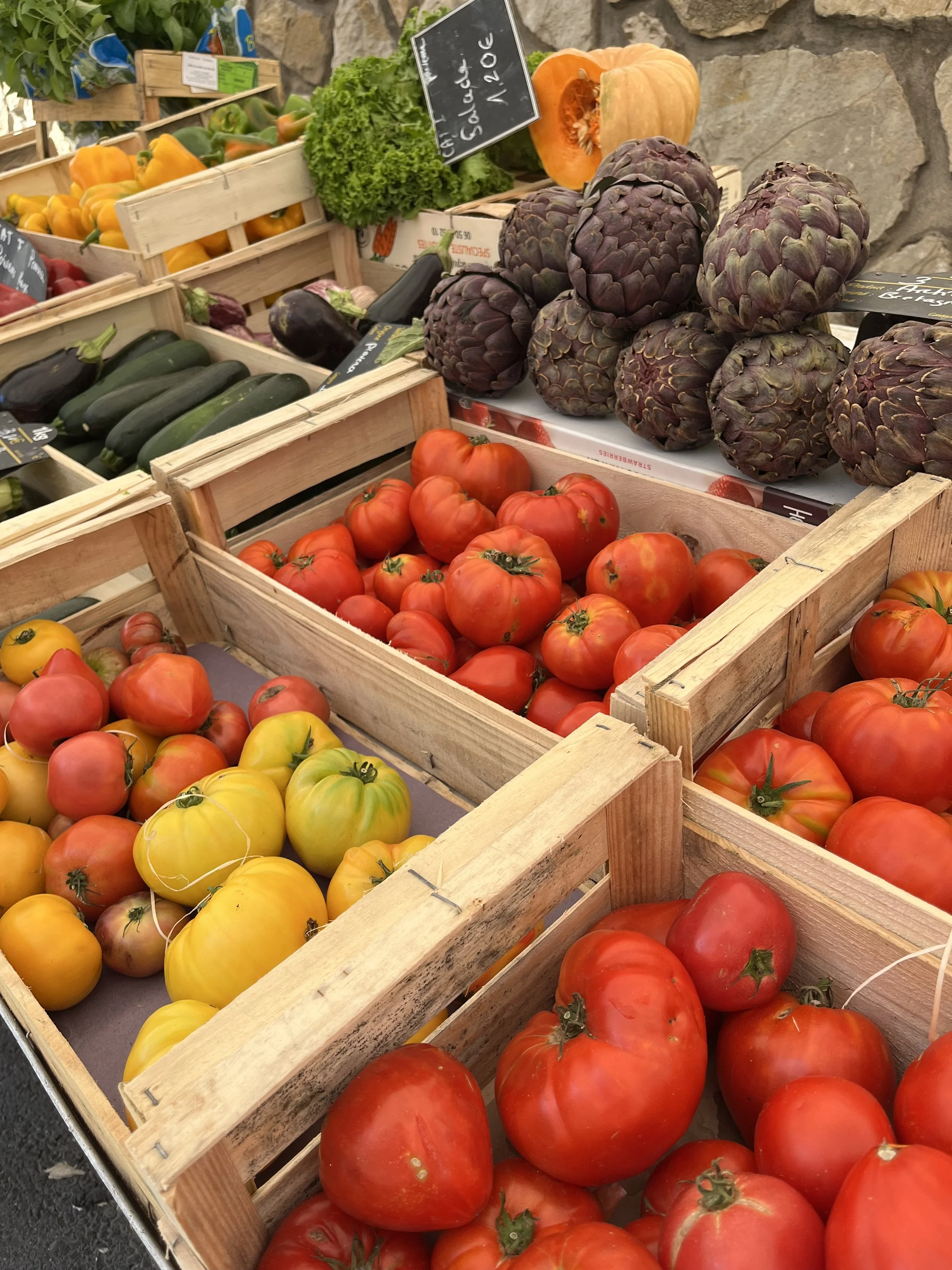 wellness gallery.jpeg