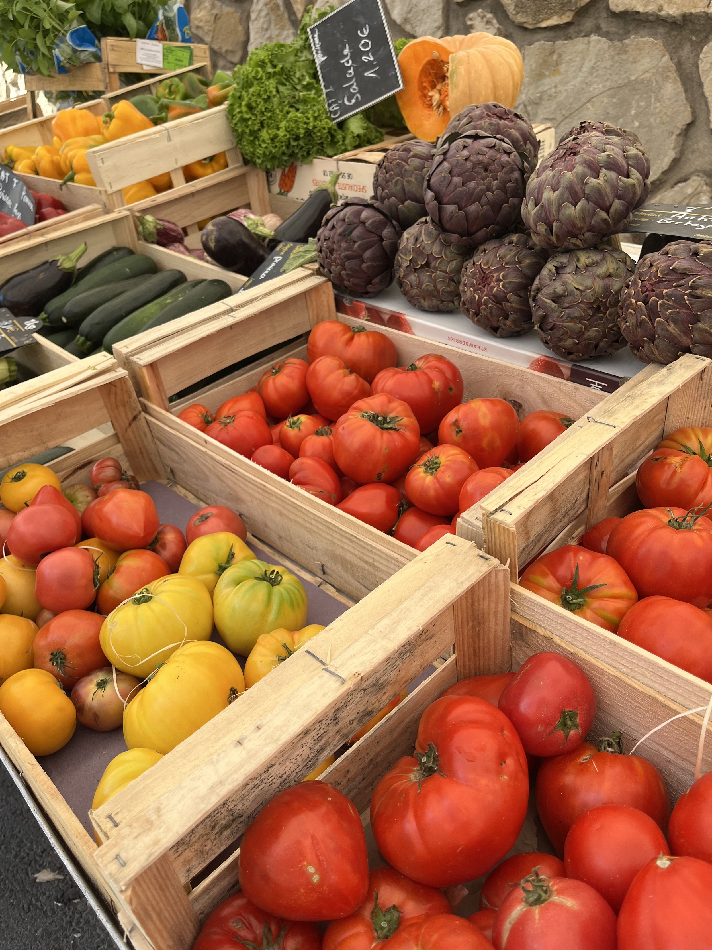 wellness gallery.jpeg