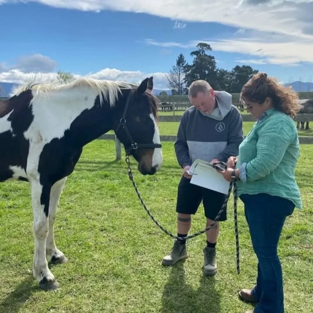 Harley, holistic health practitioner offering Honohono Healing, Deep Tissue Massage, and Zenthai Shiatsu in New Zealand, supporting physical, emotional, and spiritual wellbeing.