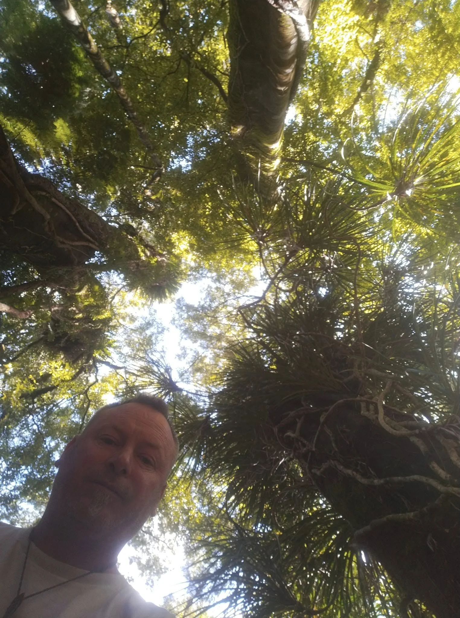 Harley, holistic health practitioner offering Honohono Healing, Deep Tissue Massage, and Zenthai Shiatsu in New Zealand, supporting physical, emotional, and spiritual wellbeing.