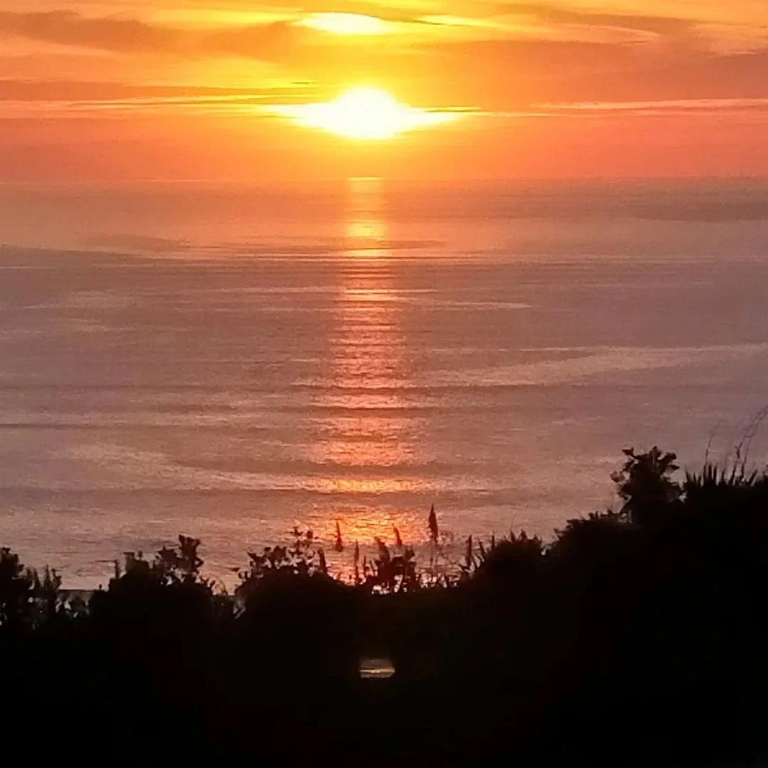 Harley’s healing journey combining Honohono, massage therapy, and shiatsu, guiding clients through transformation, balance, and holistic wellness.