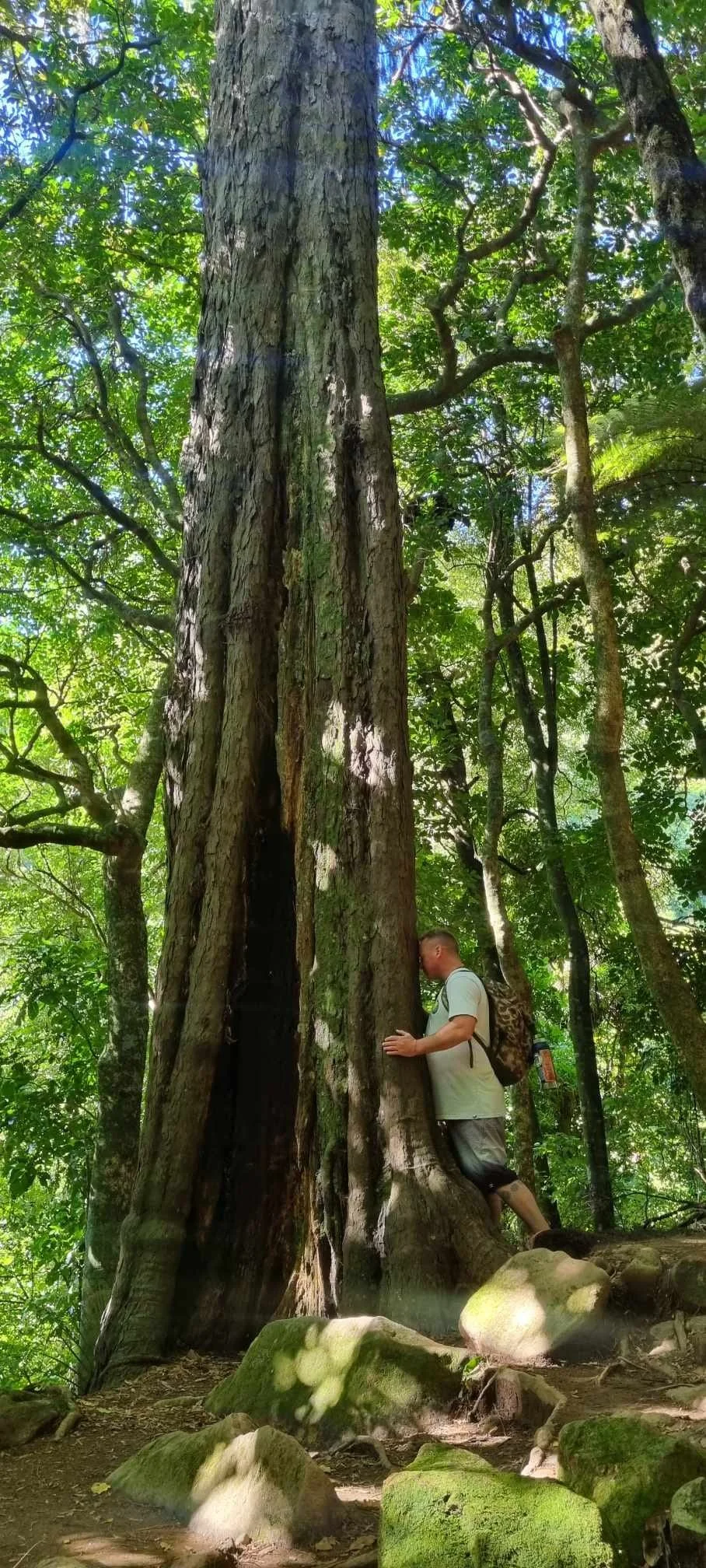 Harley’s healing journey combining Honohono, massage therapy, and shiatsu, guiding clients through transformation, balance, and holistic wellness.