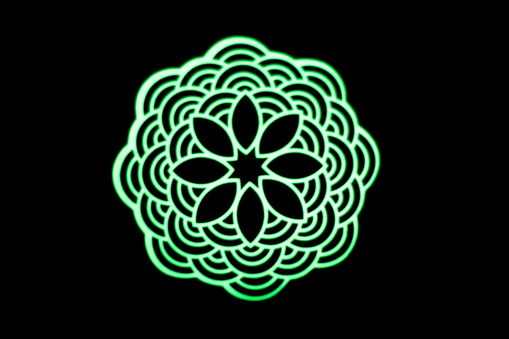 Petal Meridian | Holographic Glow-in-the-Dark Vinyl Sticker | 3x3