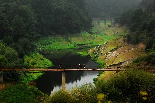 Camino Portugués — Walking the Way