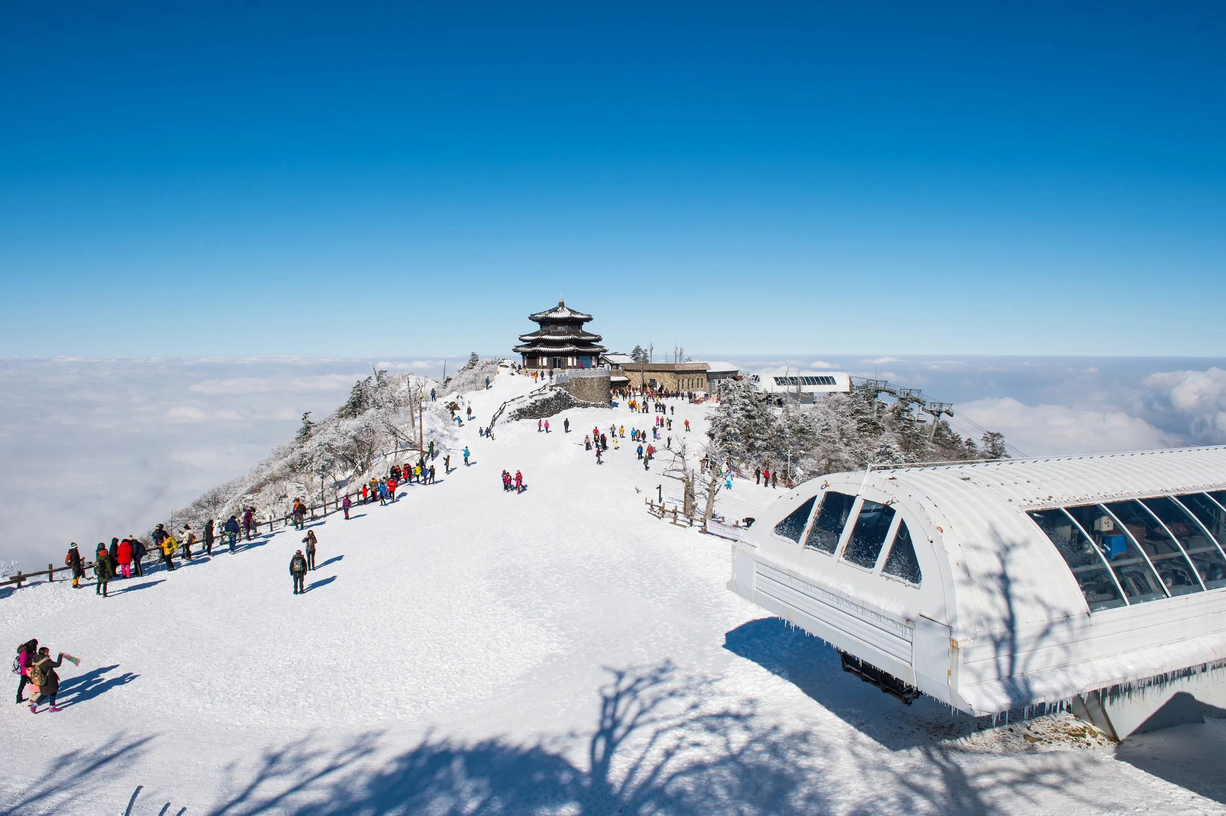 The Rainbow Run: Accessible Korea Ski Guide