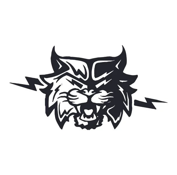 A black and white stylized illustration of a wildcat's head with lightning bolts on either side.
