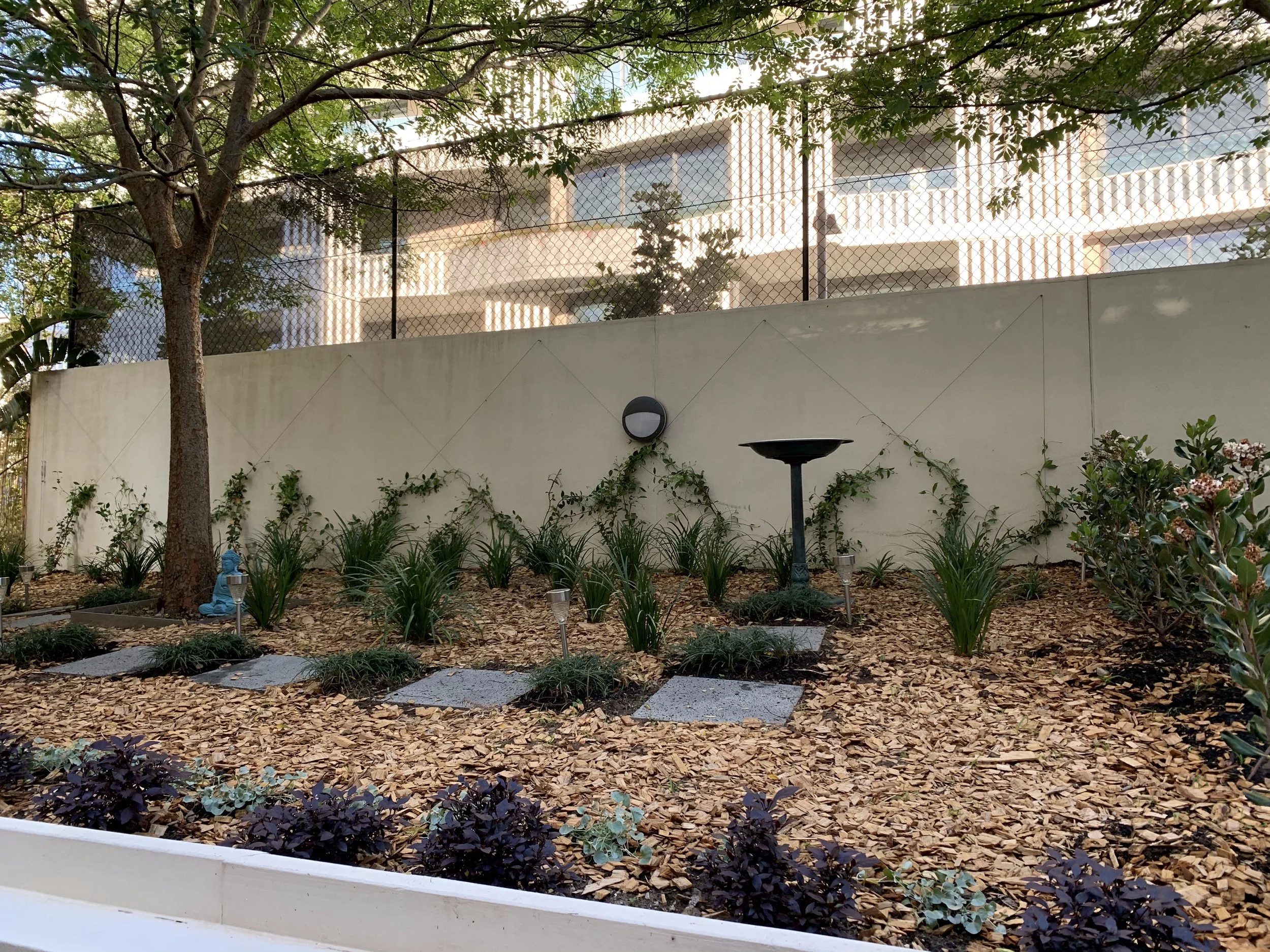 randwick-courtyard-tree-trunk-birdbath-detail.jpg