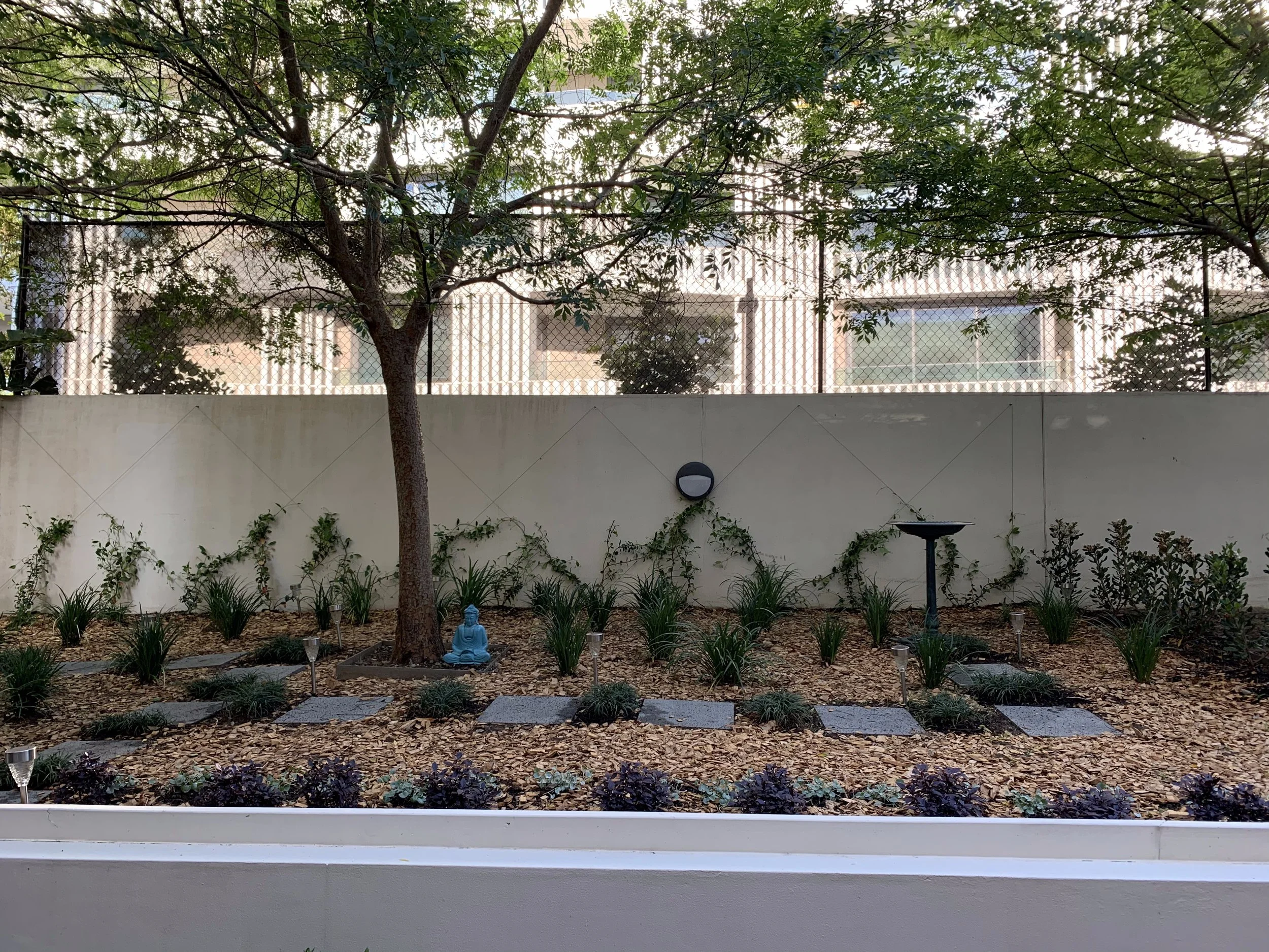 randwick-courtyard-tree-buddha-steppers.jpg