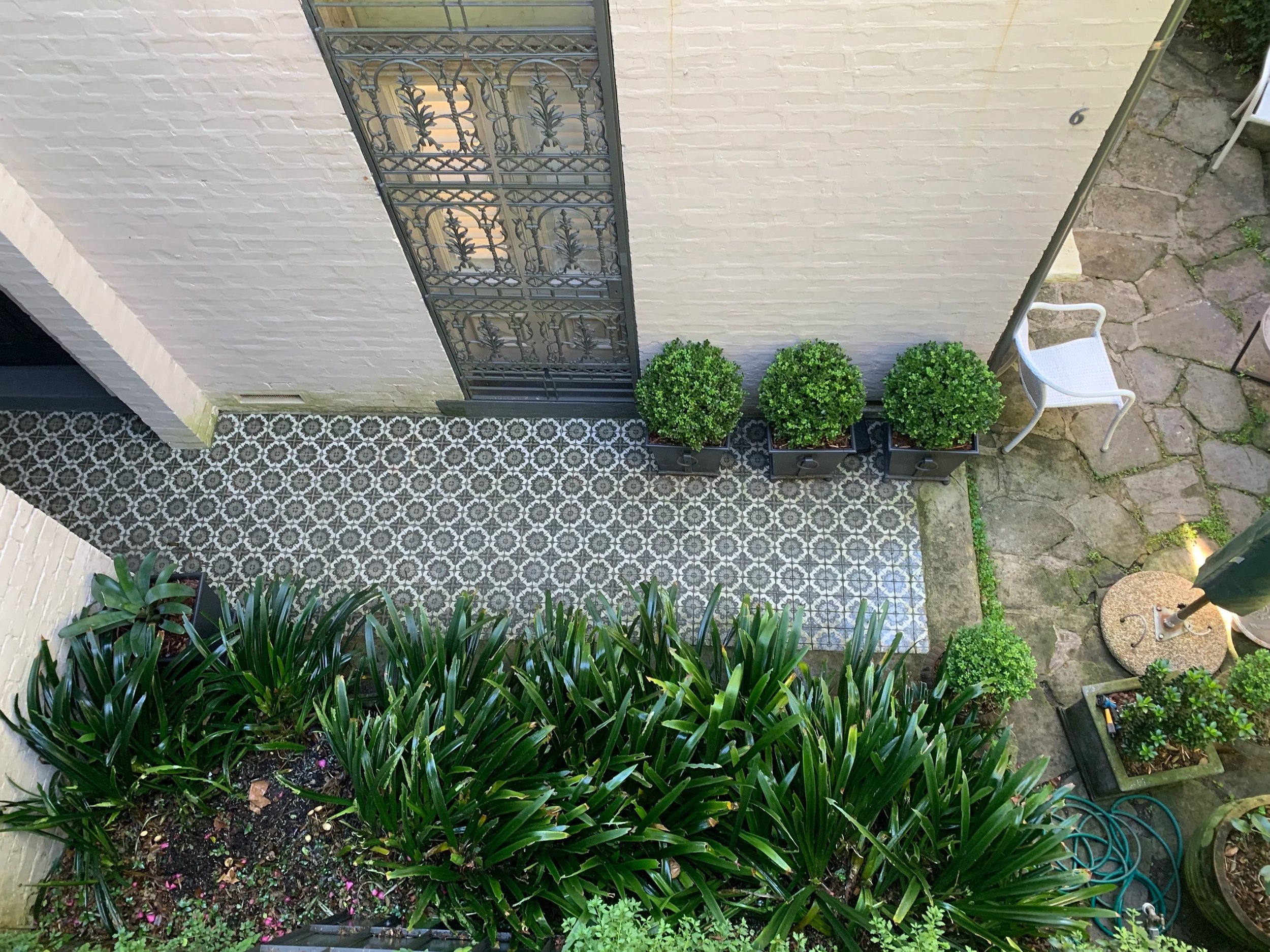 woollahra-lightwell-buxus-wall-planters.jpg