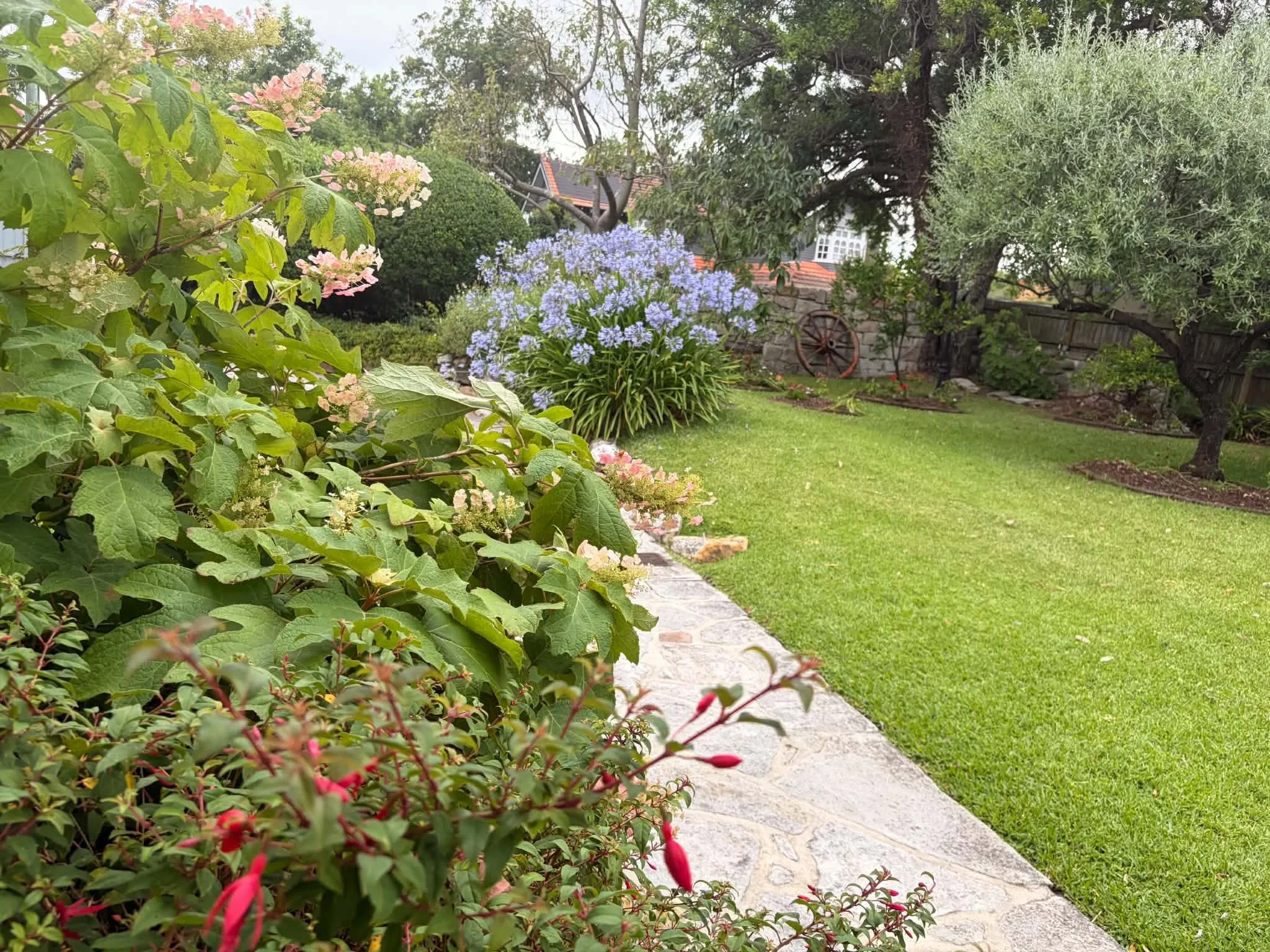 brick-path-cottage-garden-agapanthus.jpg