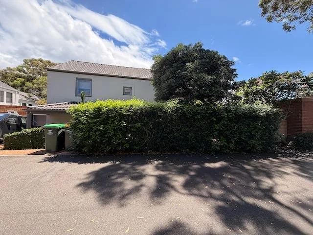 laneway-hedge-before-trim-feb2026.jpg