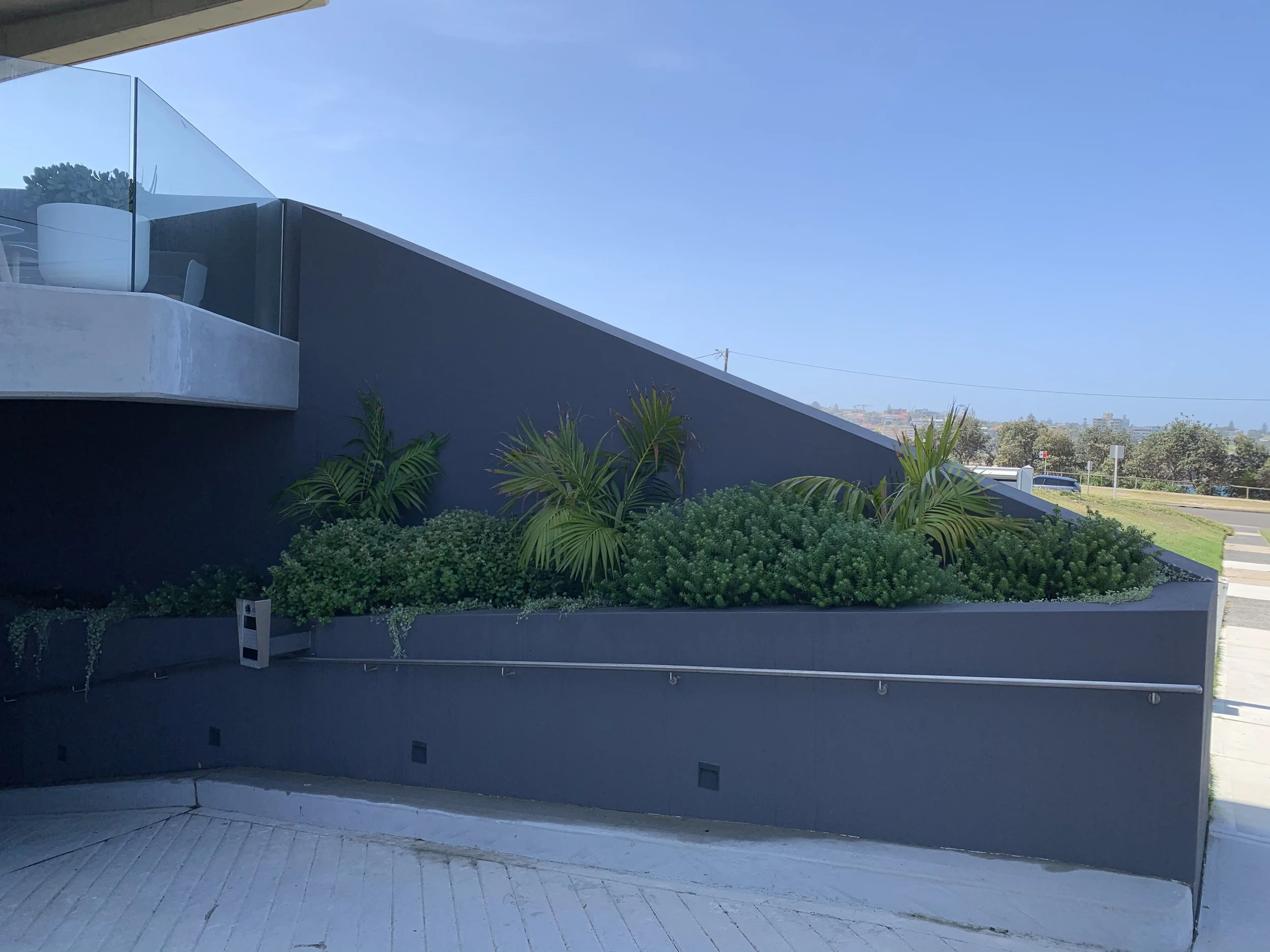 coastal-planter-wall-fan-palms.jpg
