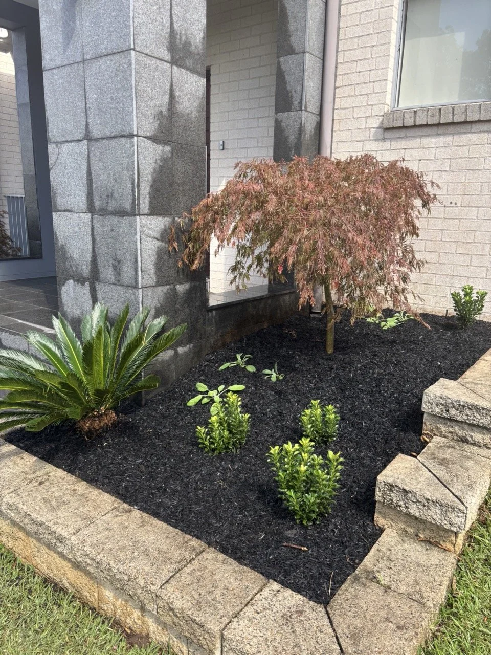 castle-hill-entry-maple-cycad-after.jpg