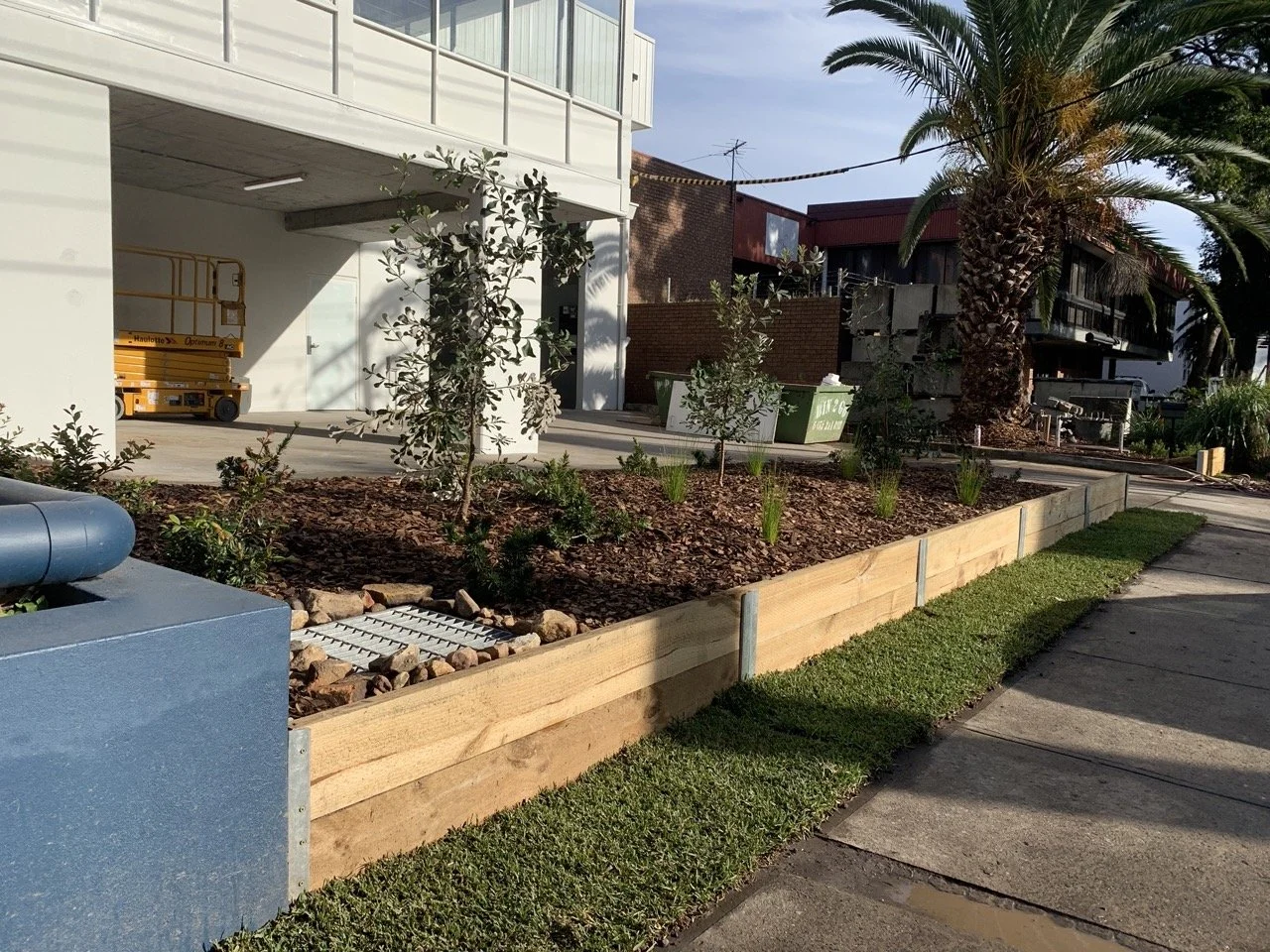 botany-finished-bed-banksias-after-may2024.jpg