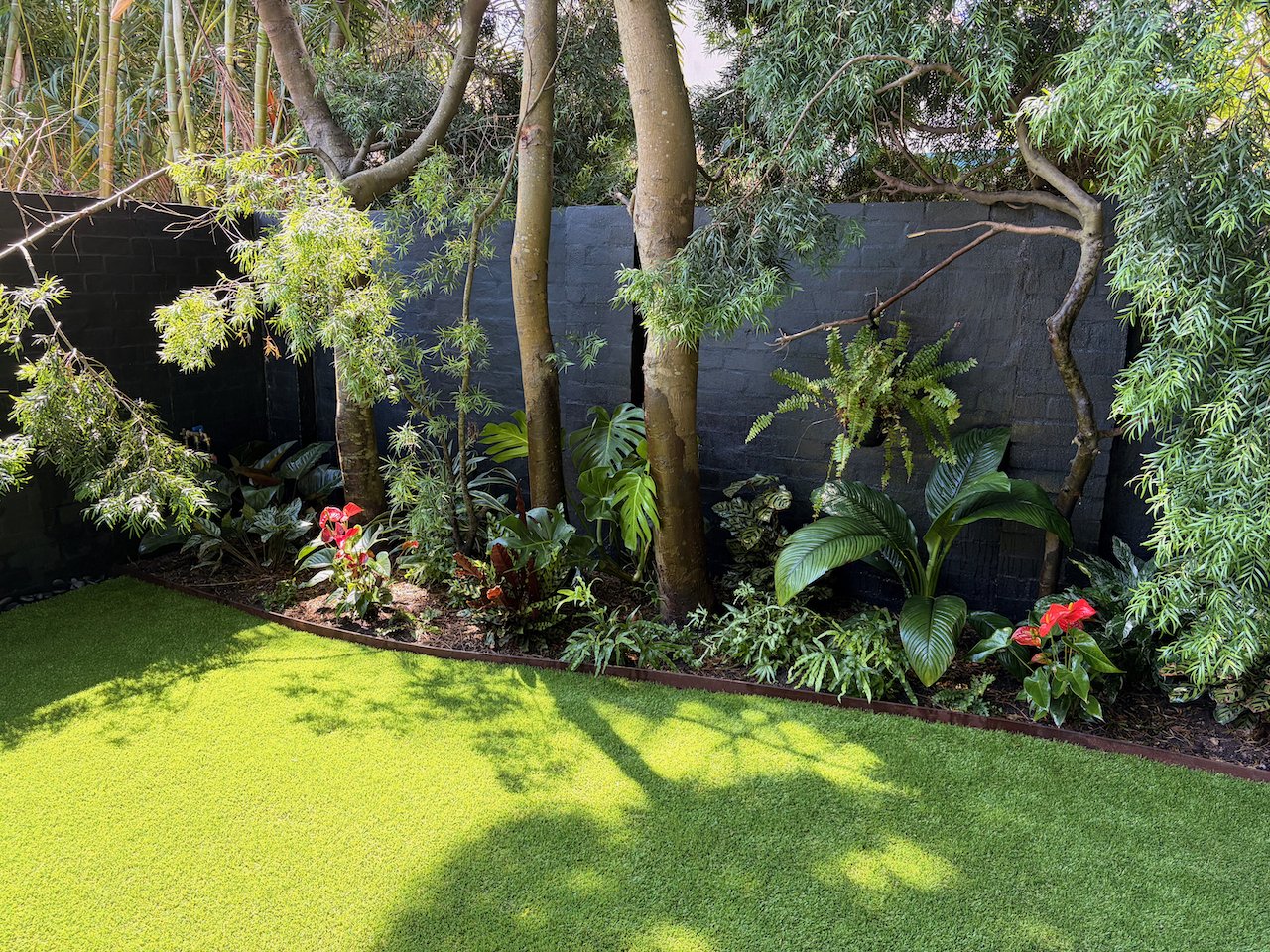 bondi-bed-corner-ferns-anthurium-oct2025.jpg