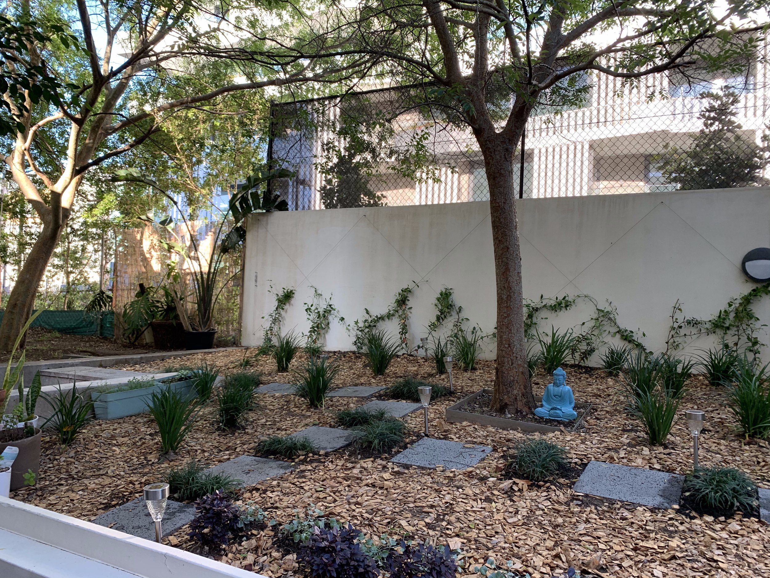 randwick-courtyard-wide-establishing-nursery-pots.jpg