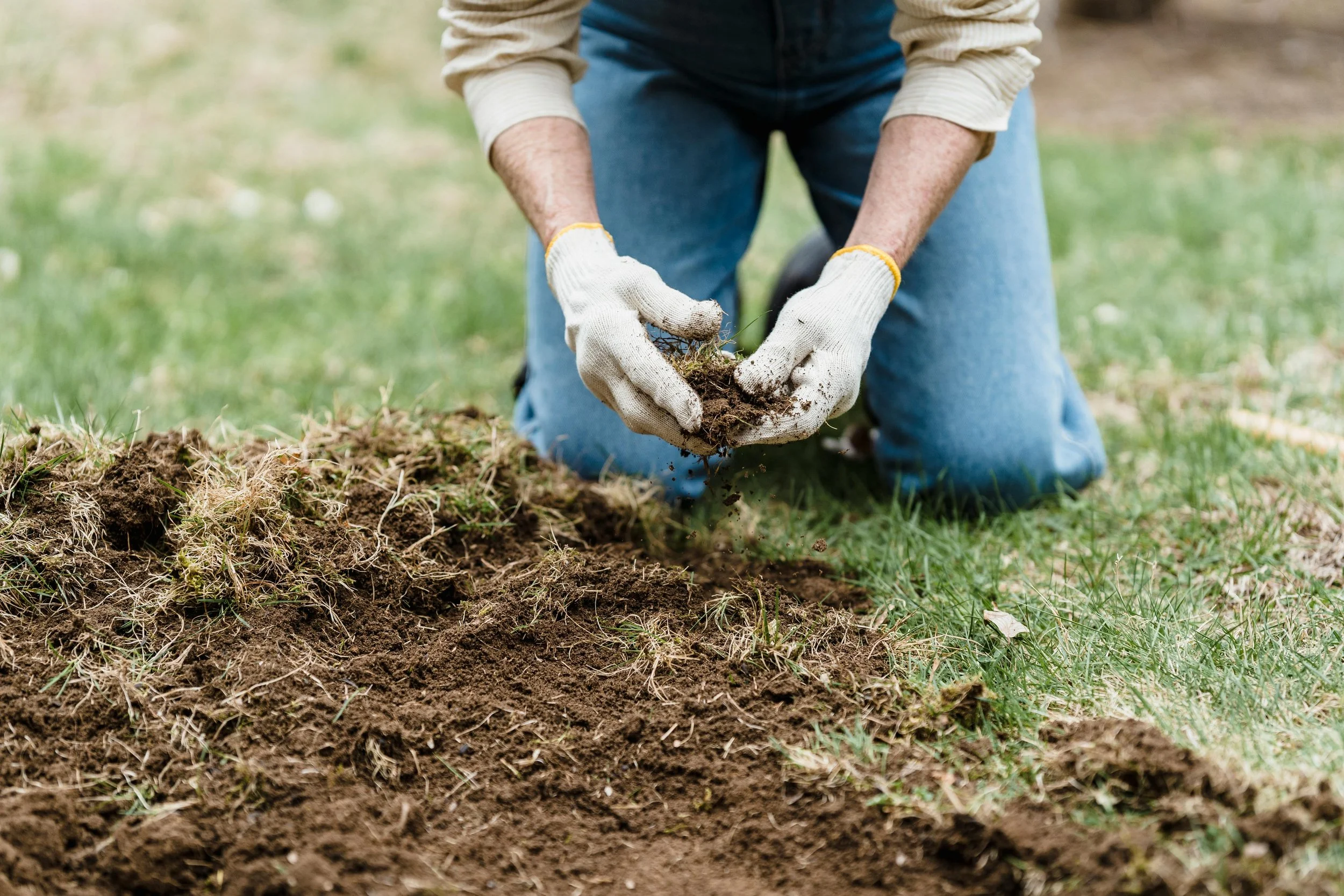 Gardener checking soil quality by hand in backyard garden
